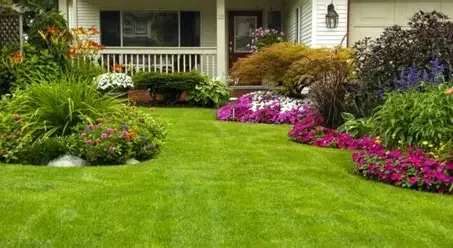 Advanced Lawn Care Service