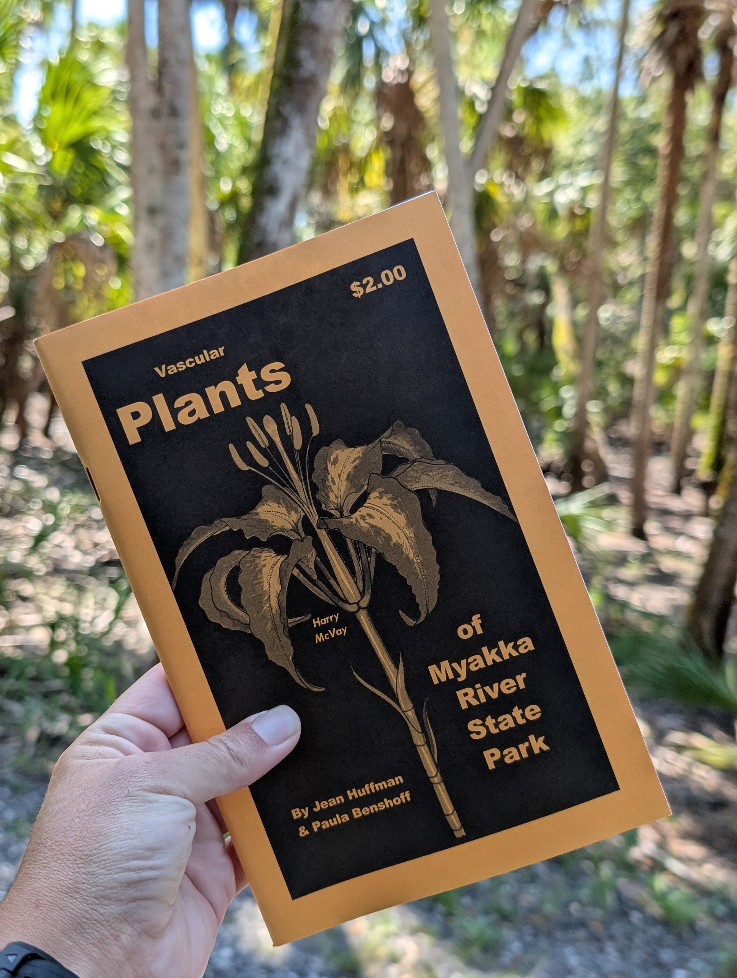 Virtual Consultation