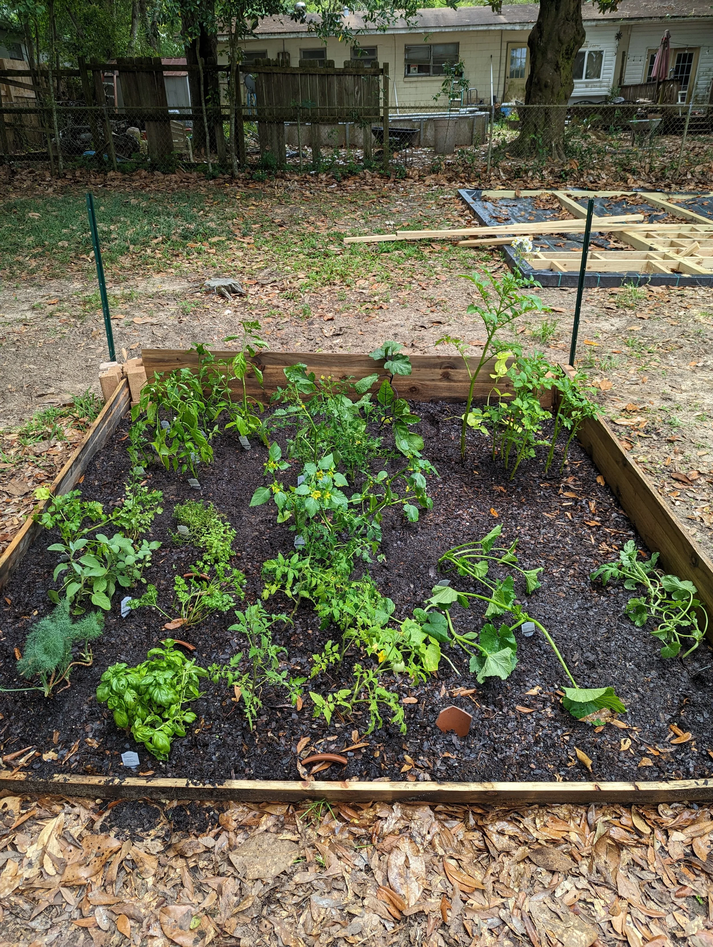 Landscape and Garden Health and Care Consultation