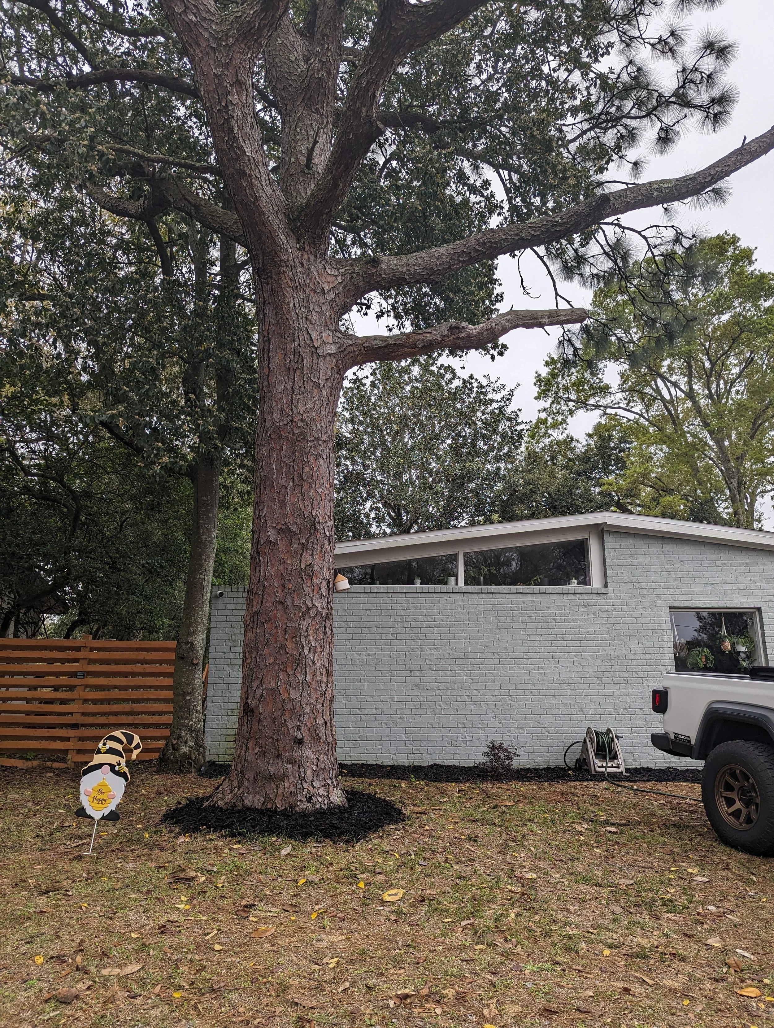 Pre-Purchase Landscape Inspection