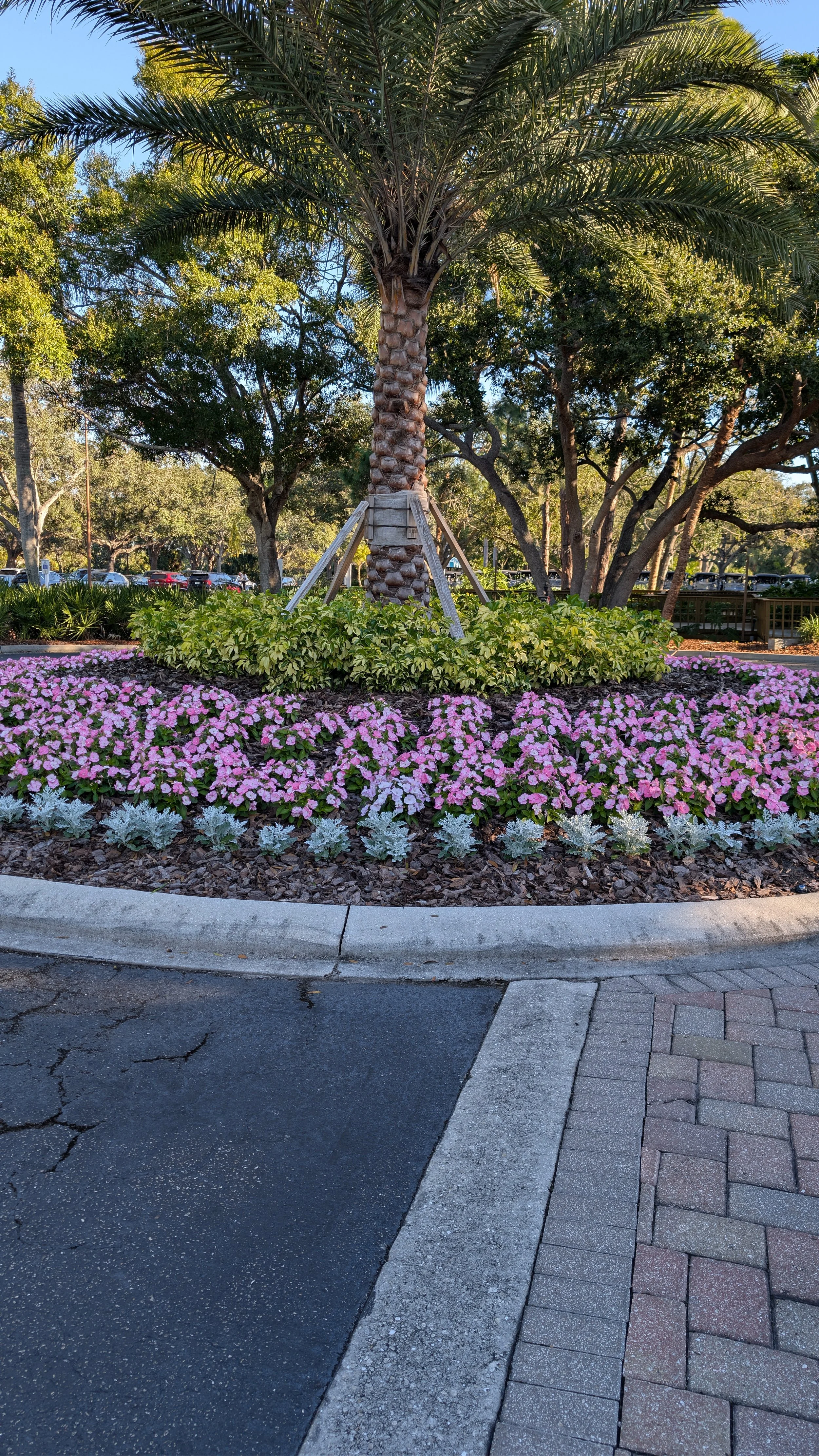 Landscape Design