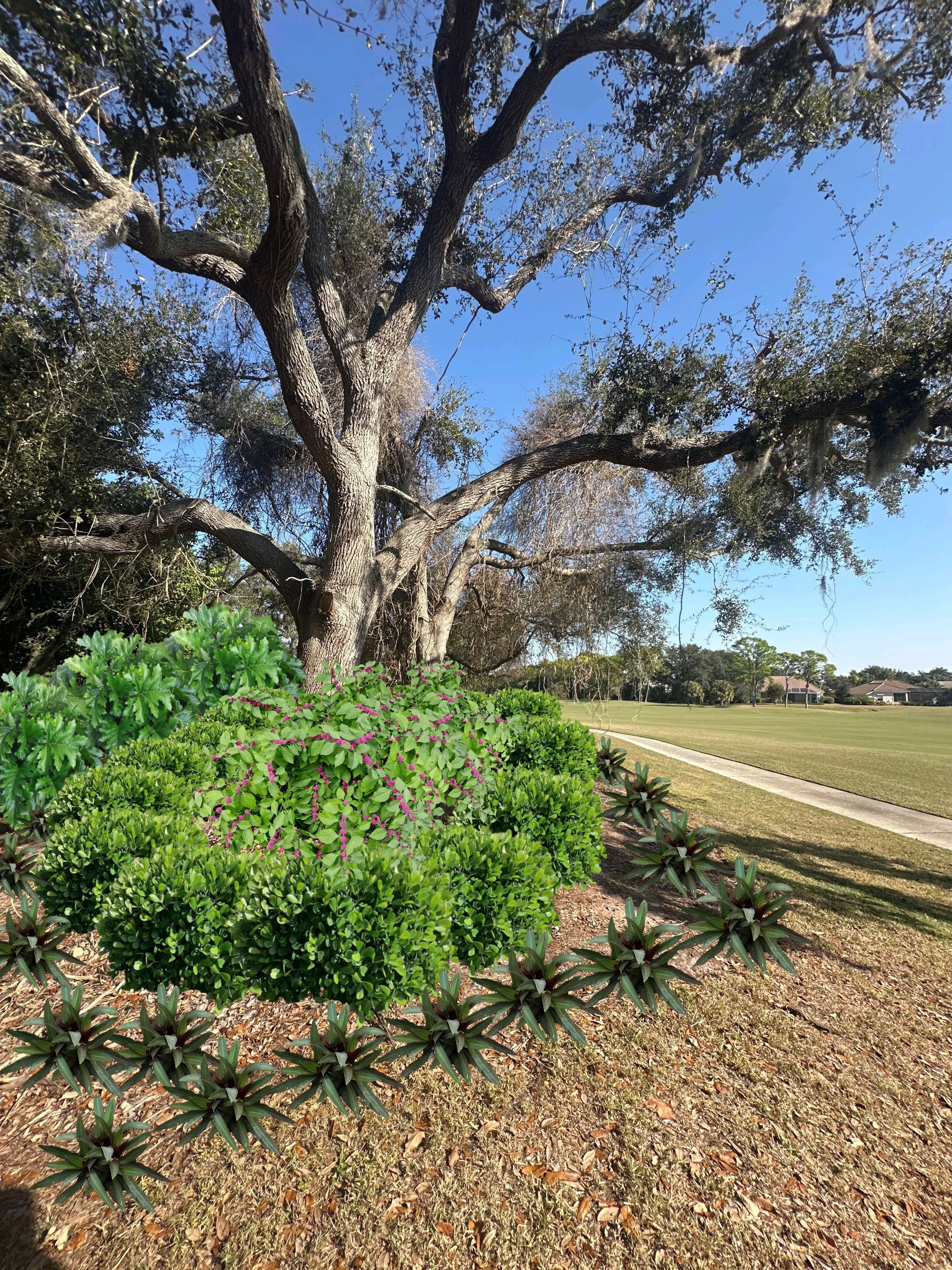 Virtual Landscape Design