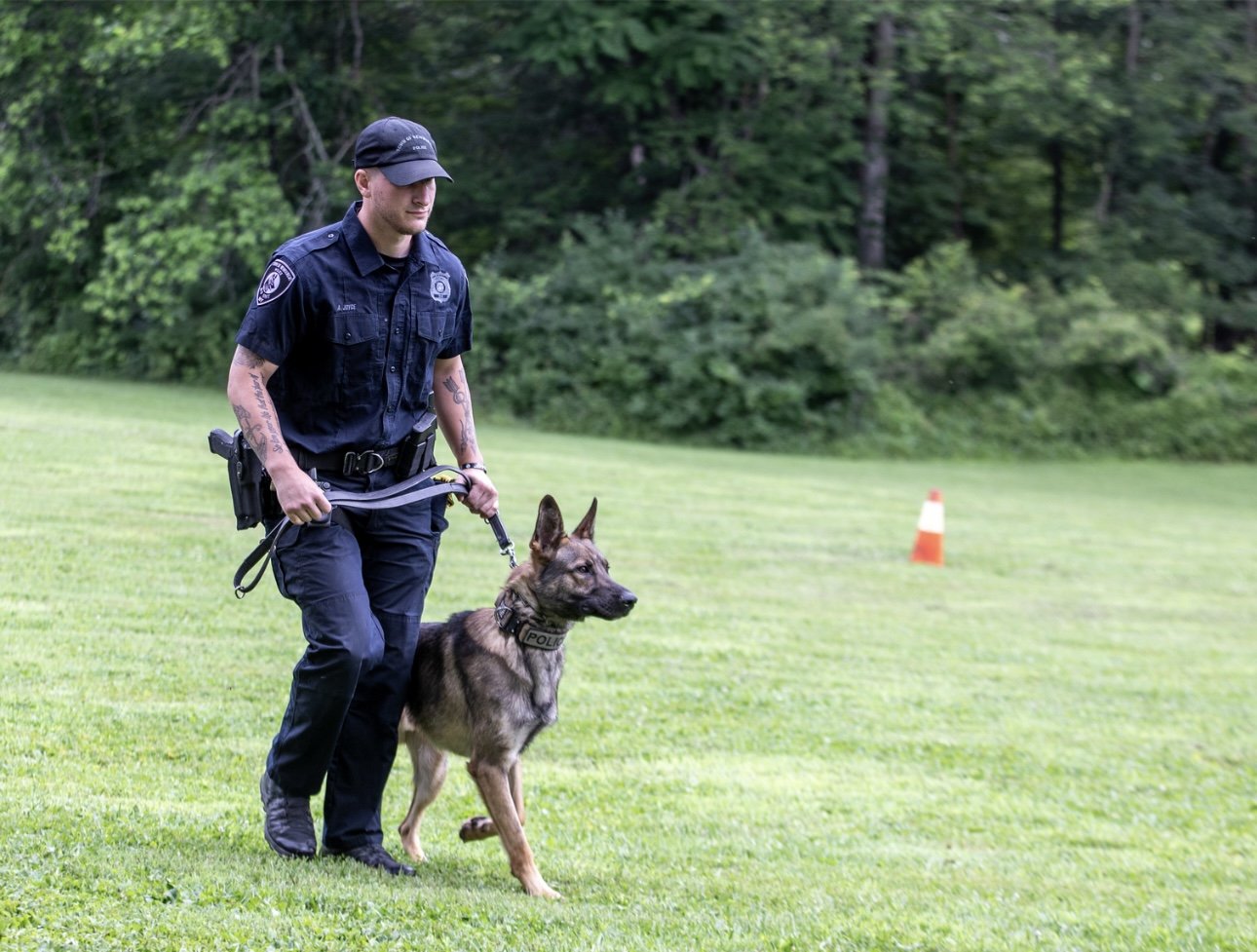 Advanced Obedience Training