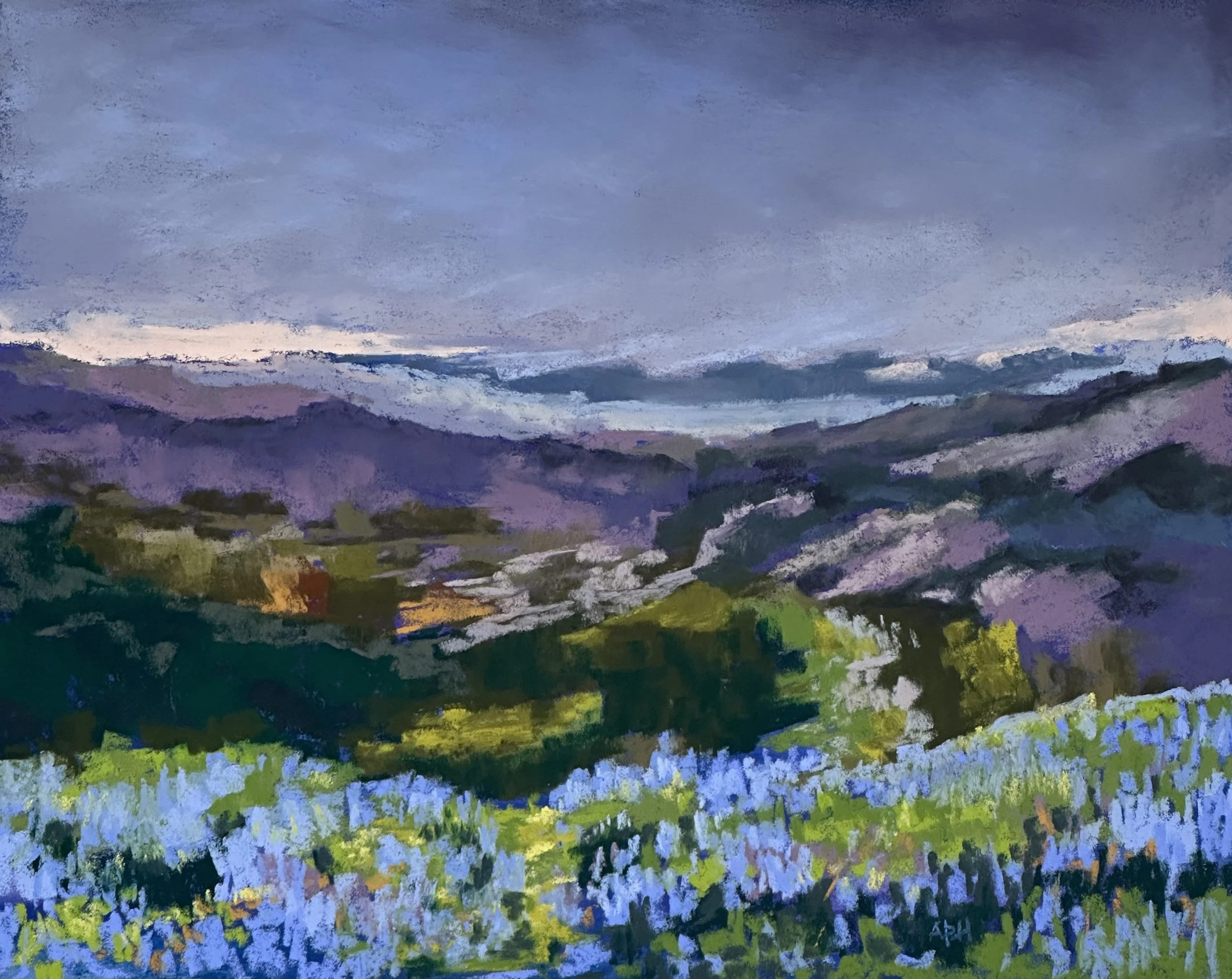 Wildflower Wilderness