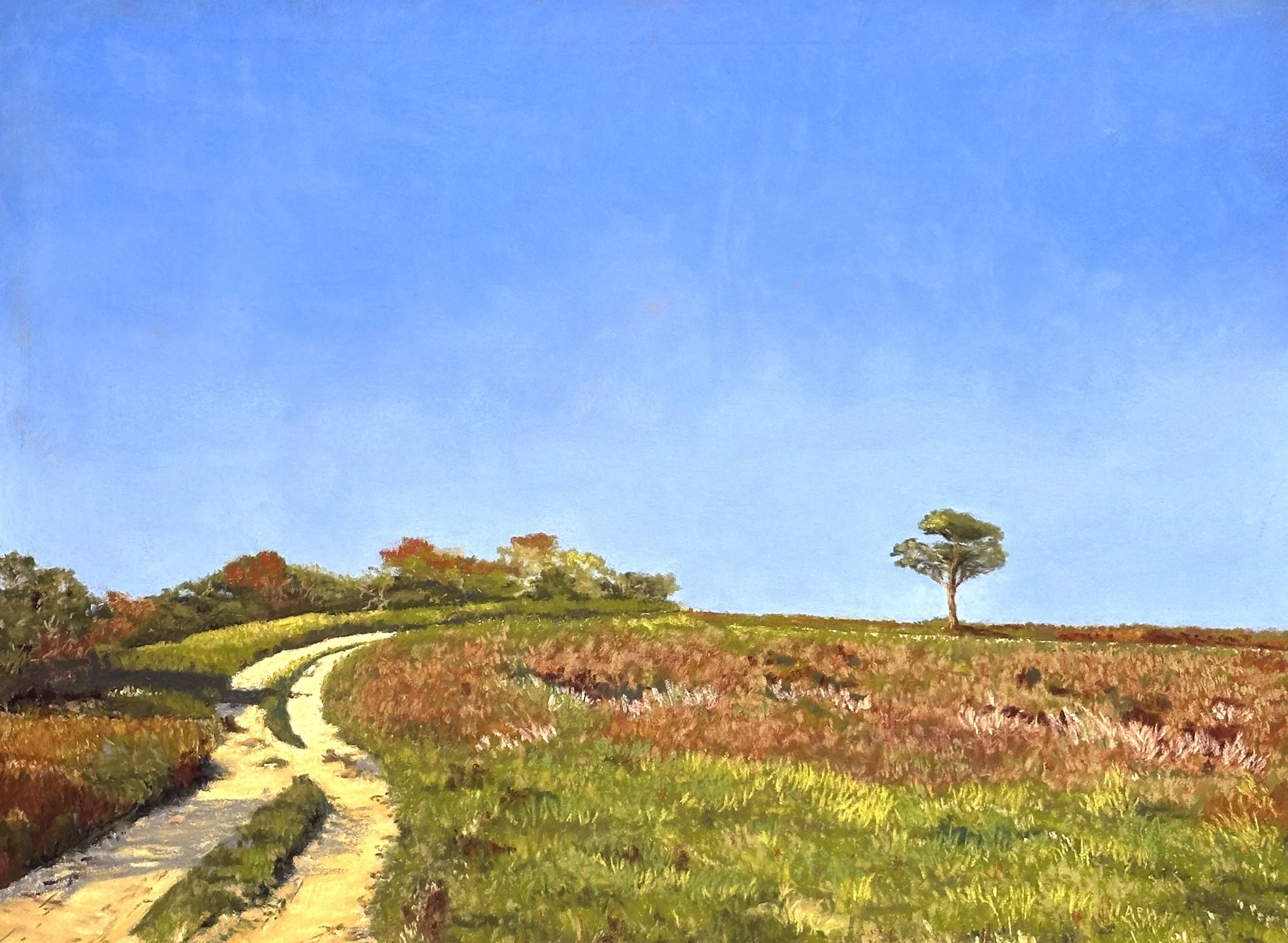 Nantucket artists’ association 