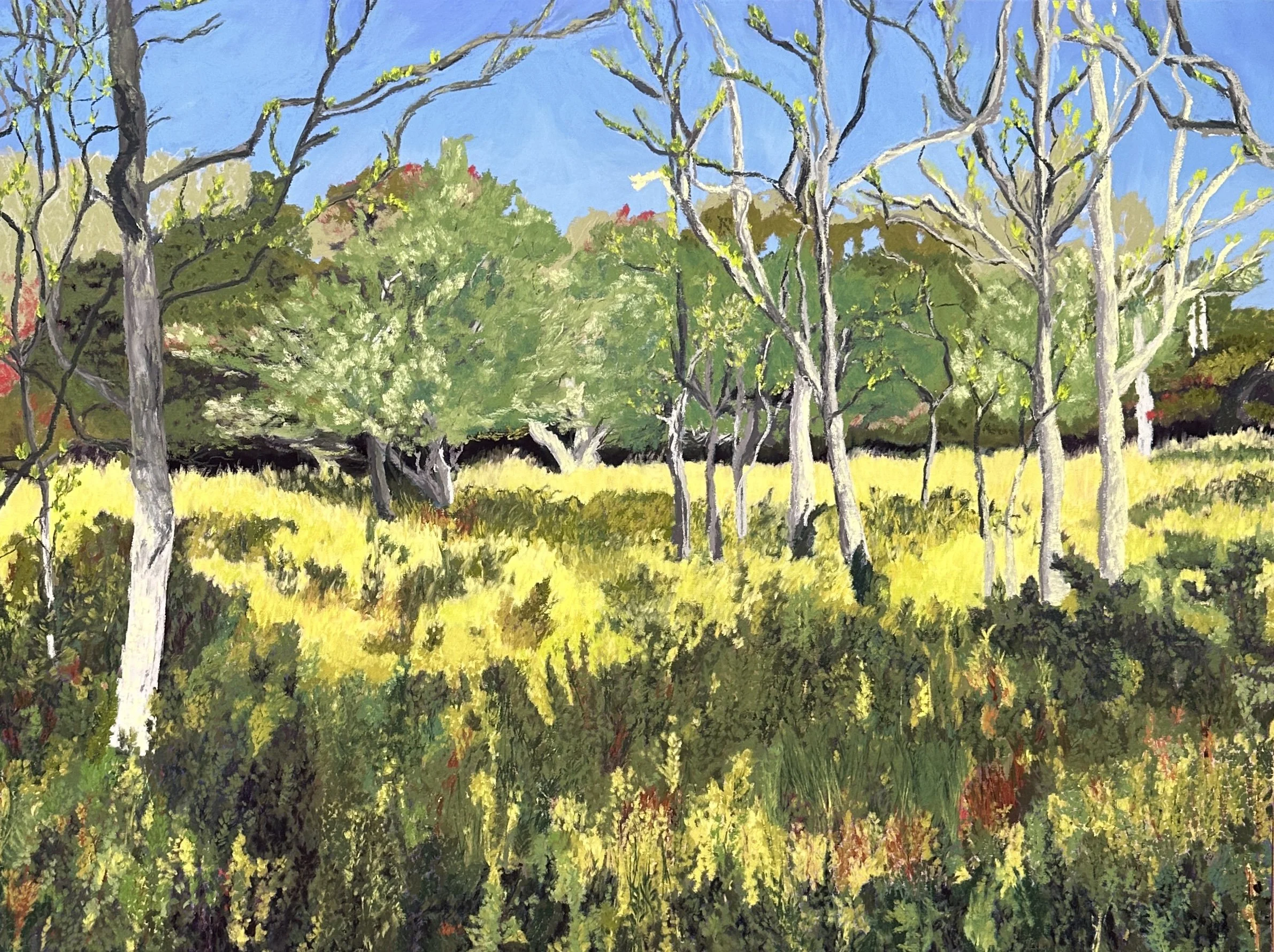 Forest Meadow at Squam Farm, 18" x 24"