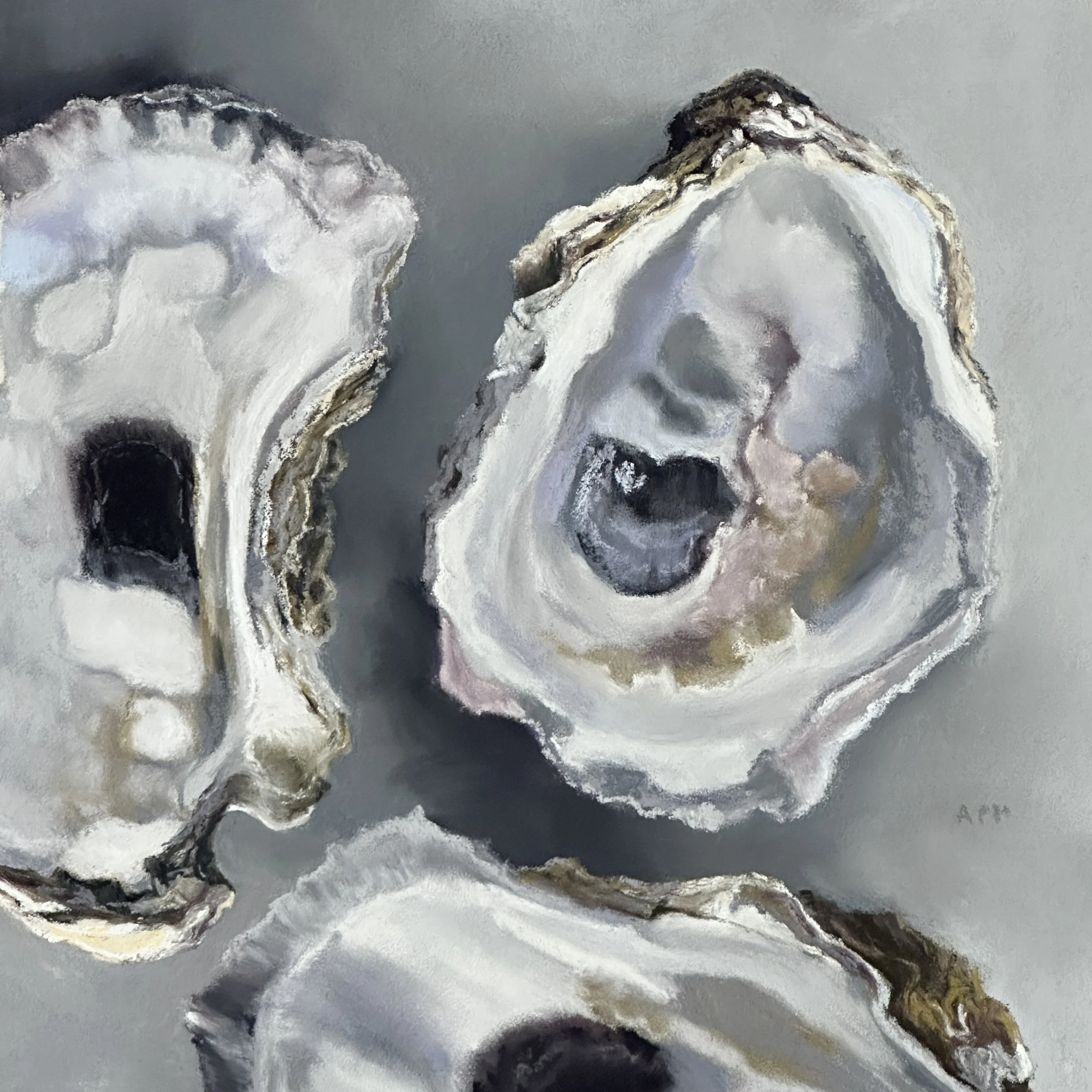 Wellfleet Oysters III, 6.5" x 6.5"