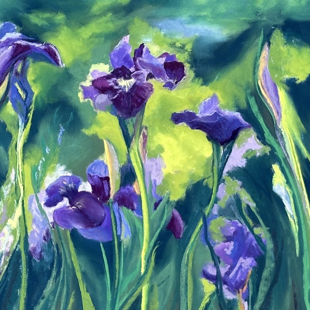 Drive by Irises, 9" x 9"