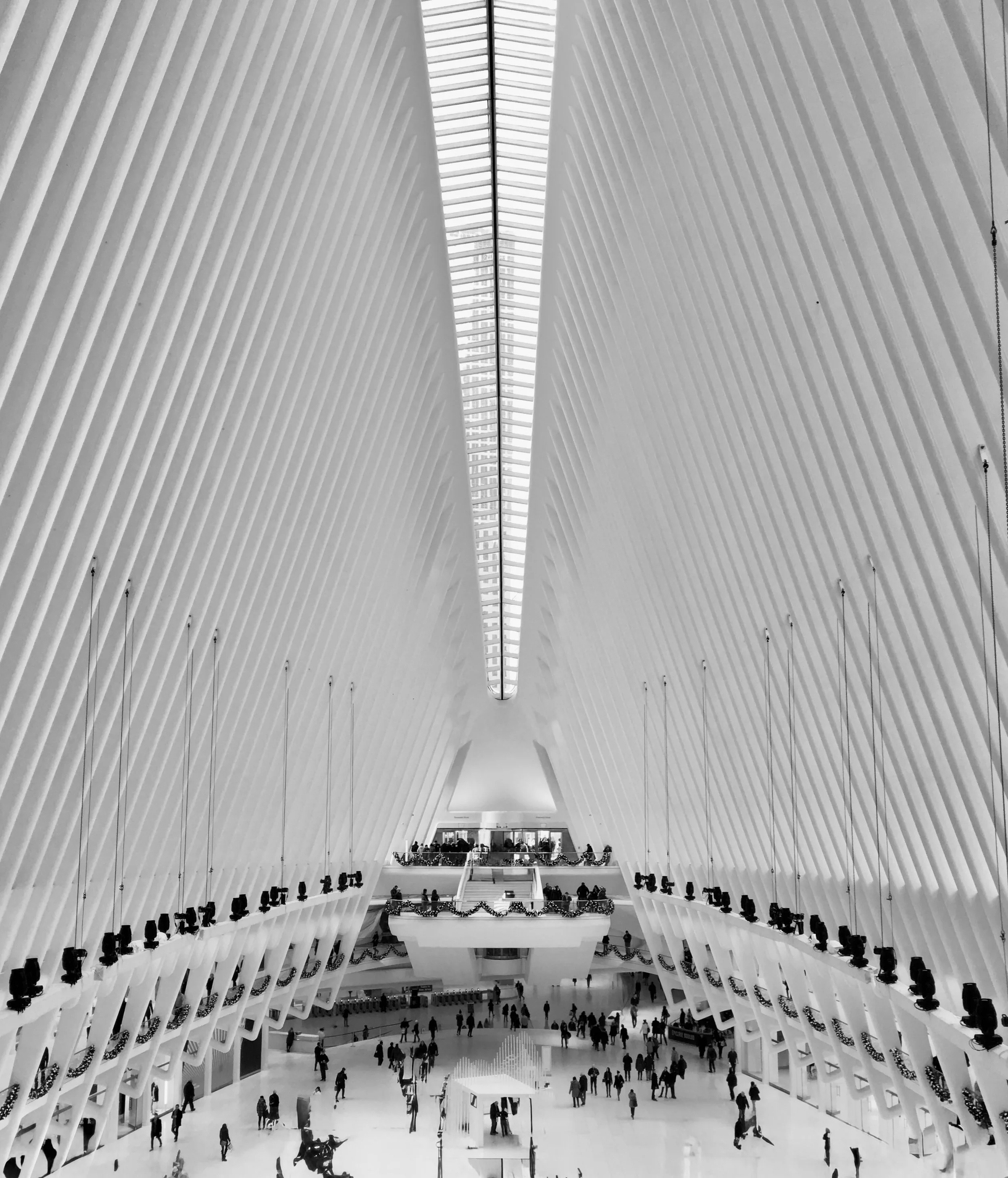 Perspective #2