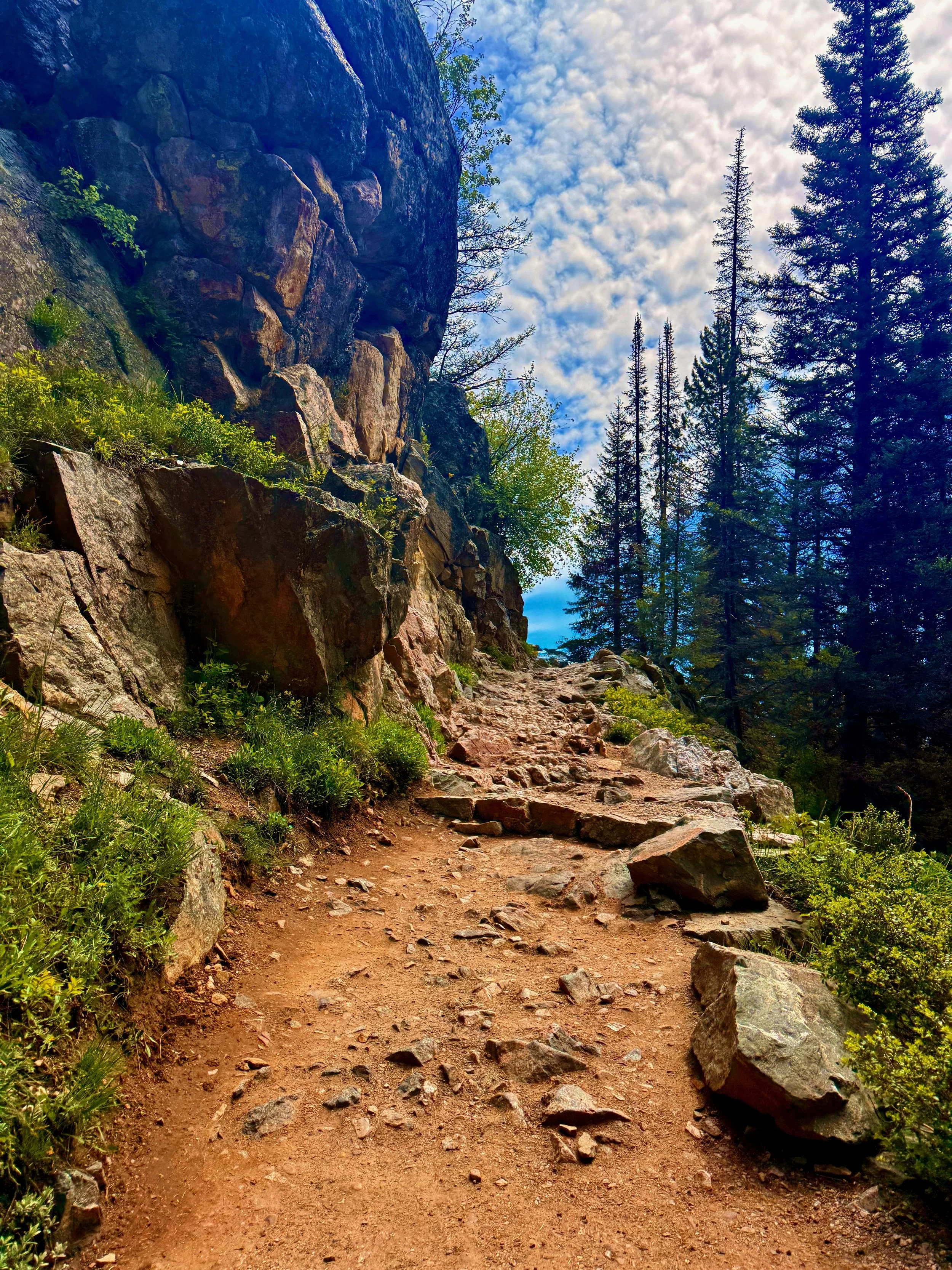 The Road Less Travelled