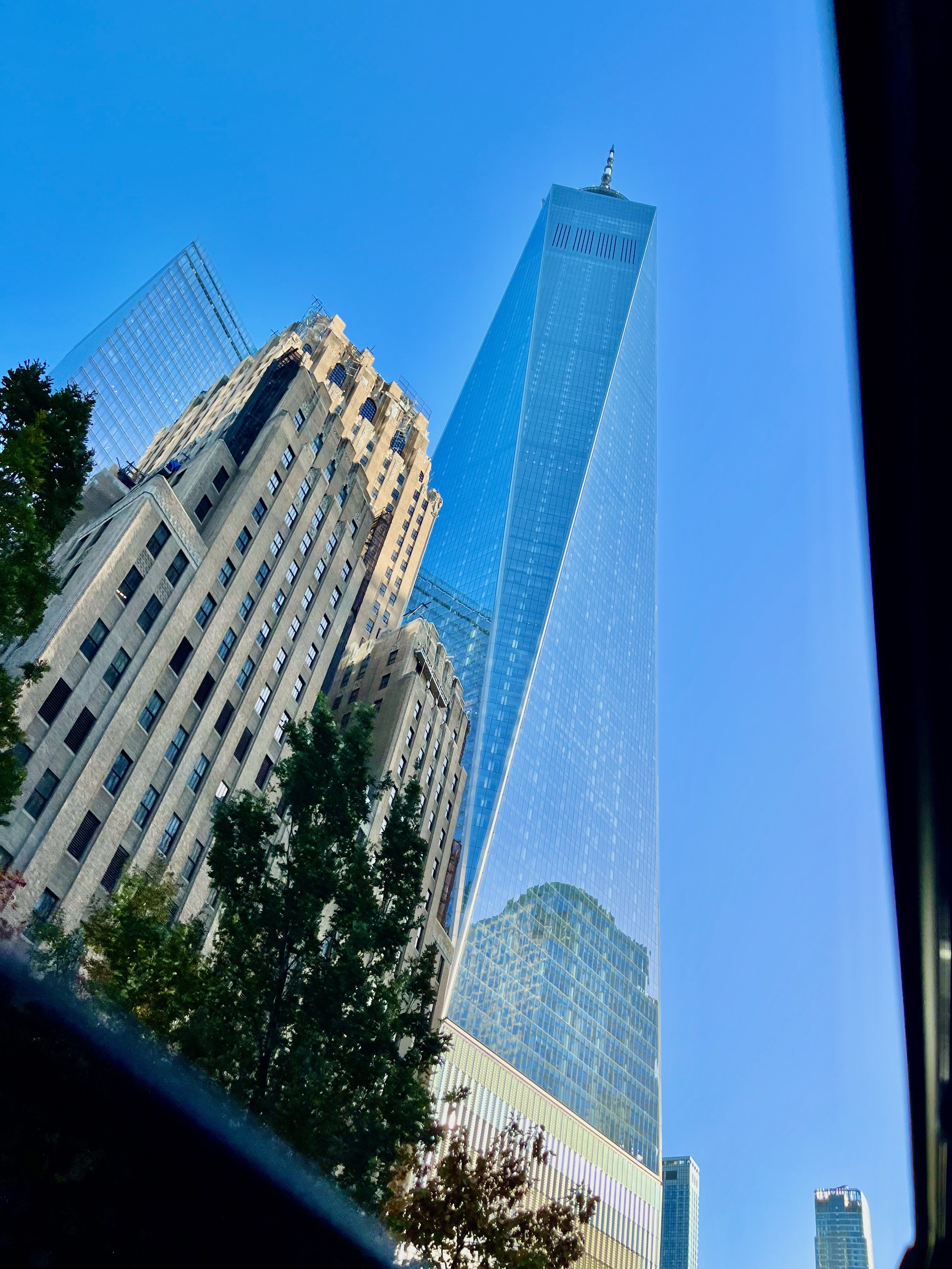 Standing Tall