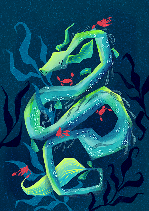 sea dragon taxi website.png