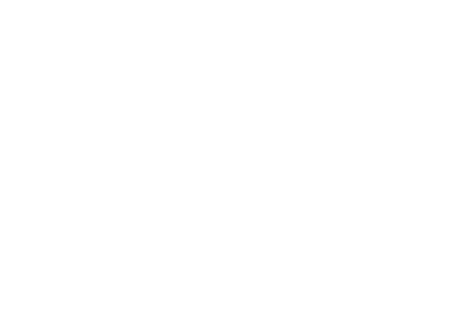 Studio Snow