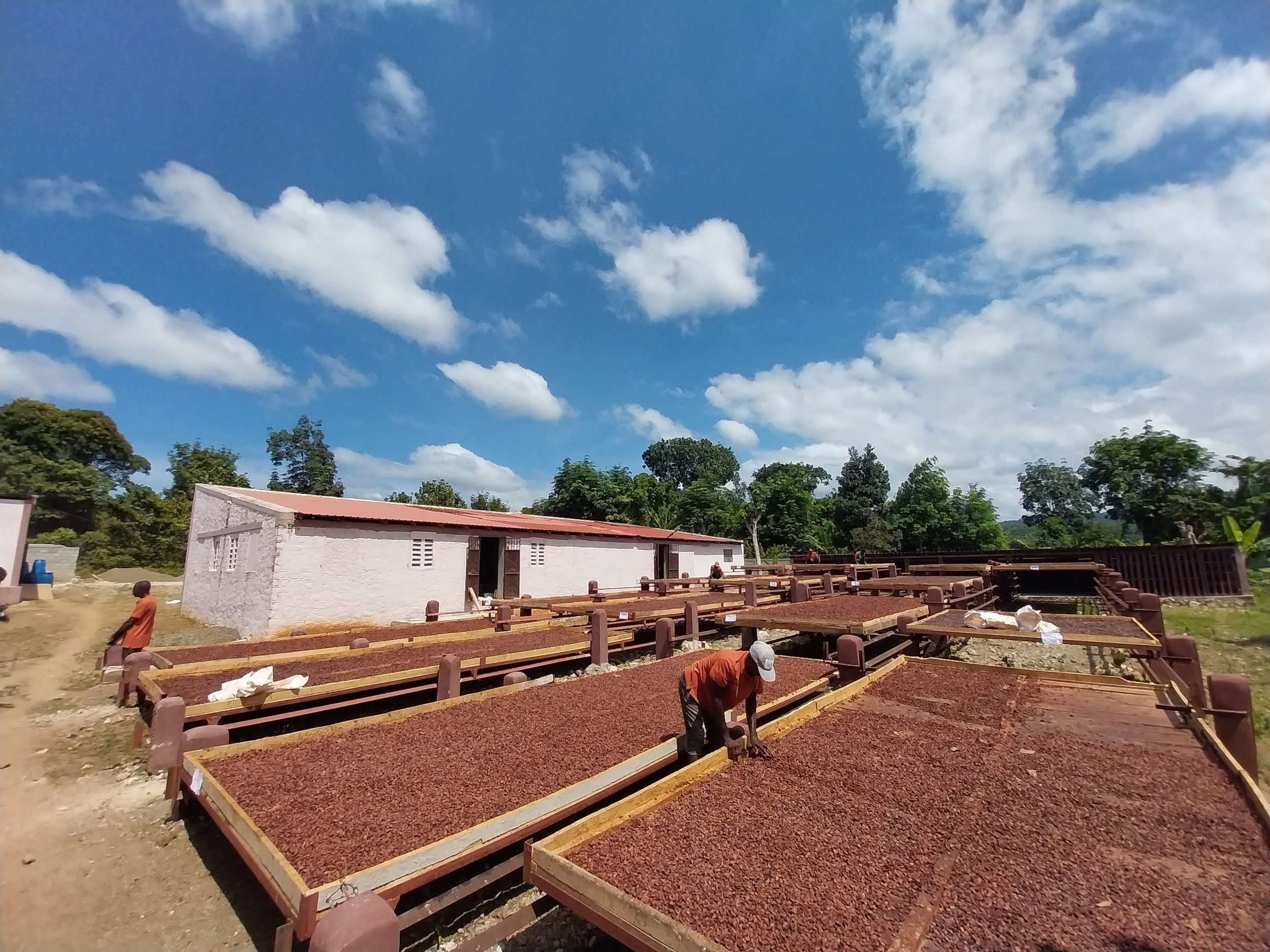 Réhabilitation du centre de fermentation de Kaleos