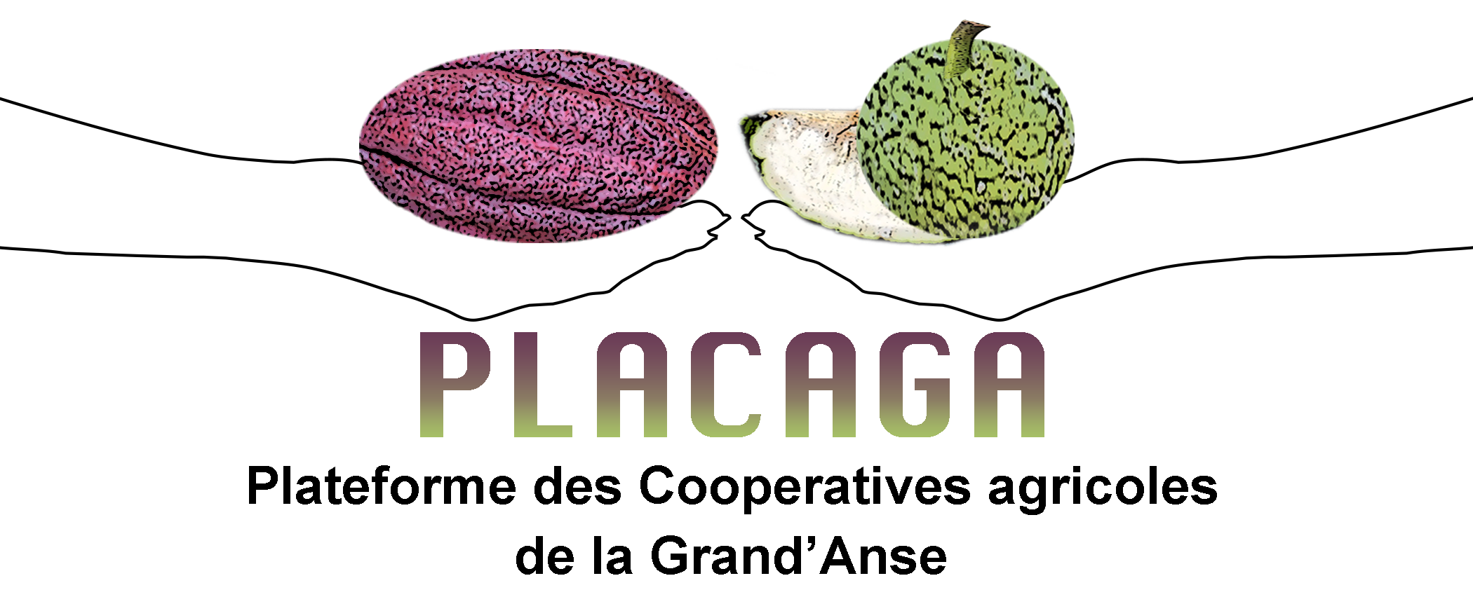 Diagram showing the cross-section of a watermelon with labels pointing to the rind, flesh, and seeds.