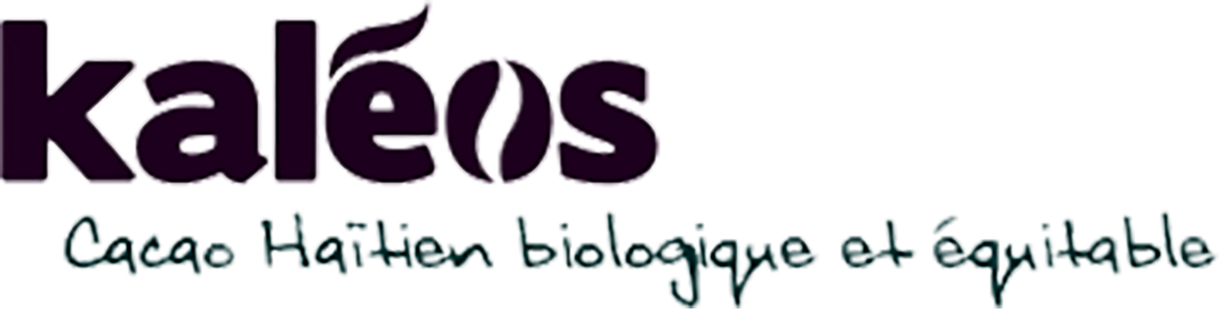 Text saying 'Kaleos' at the top and 'Lace & fashion blog of beauty' below.