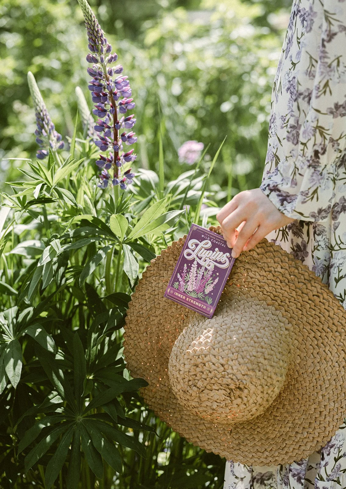Lupins_To&FrontSeedCo-3.jpg