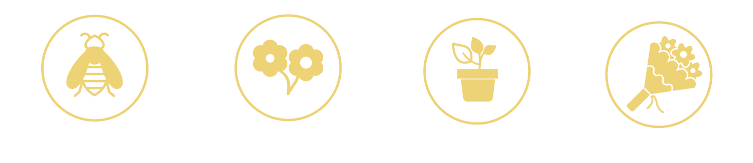Icons with descriptions showcasing benefits of planting flowers, including attracting pollinators, being easy to grow, suitable for indoor start, and good in bouquets.