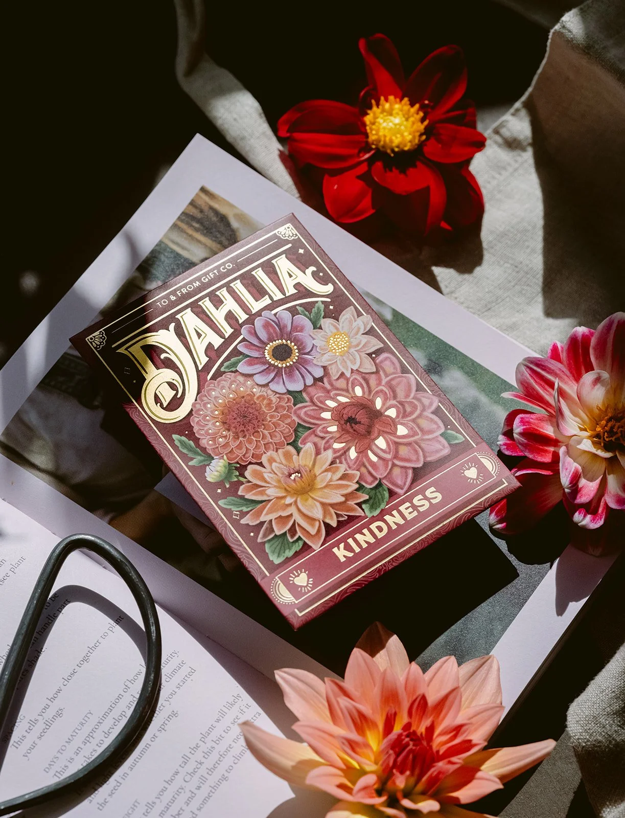 Dahlia_To&FrontSeedCo-3.jpg