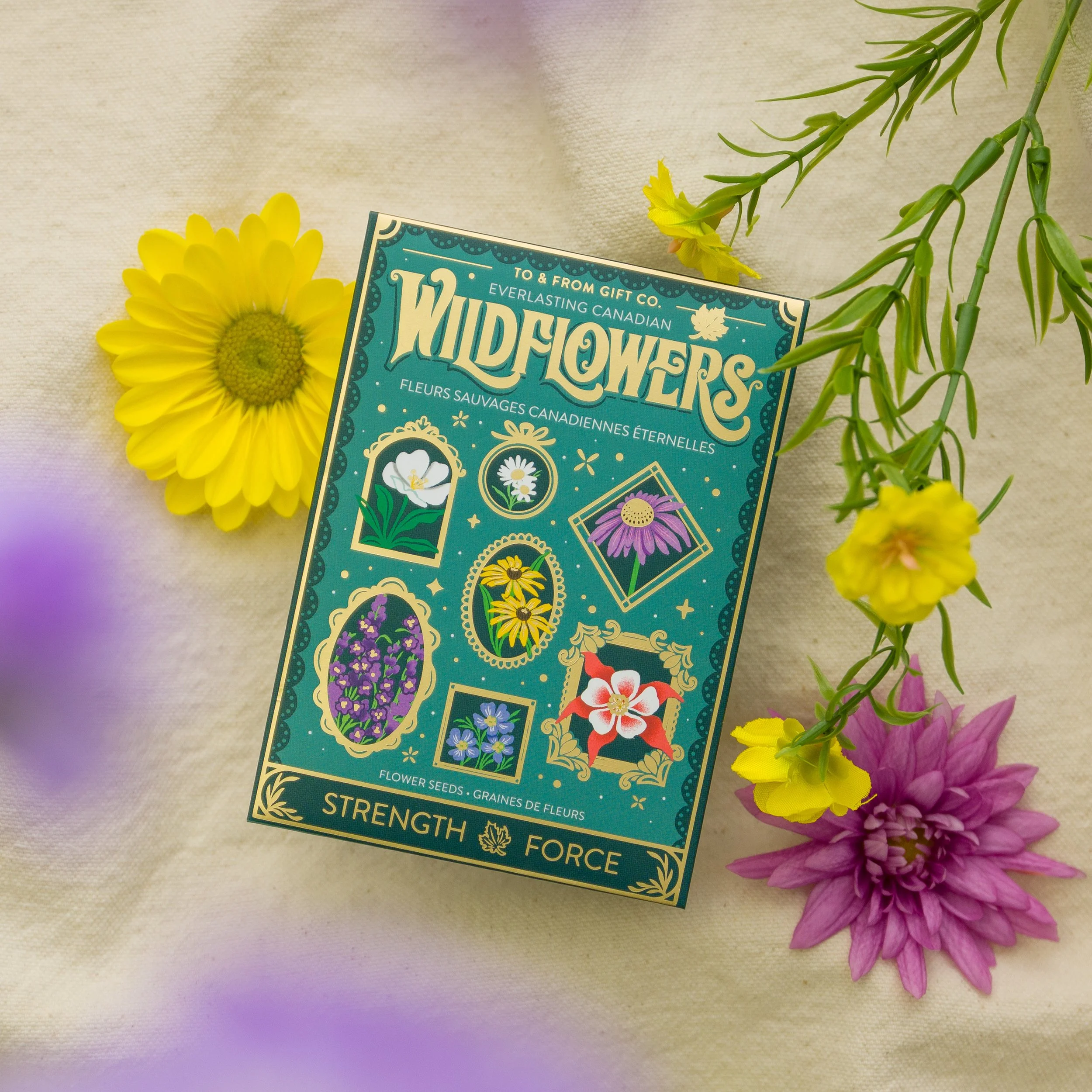 Native and suited to our ever-changing climate, these colourful wildflowers return each year - a gentle reminder that true strength is found in resilience.