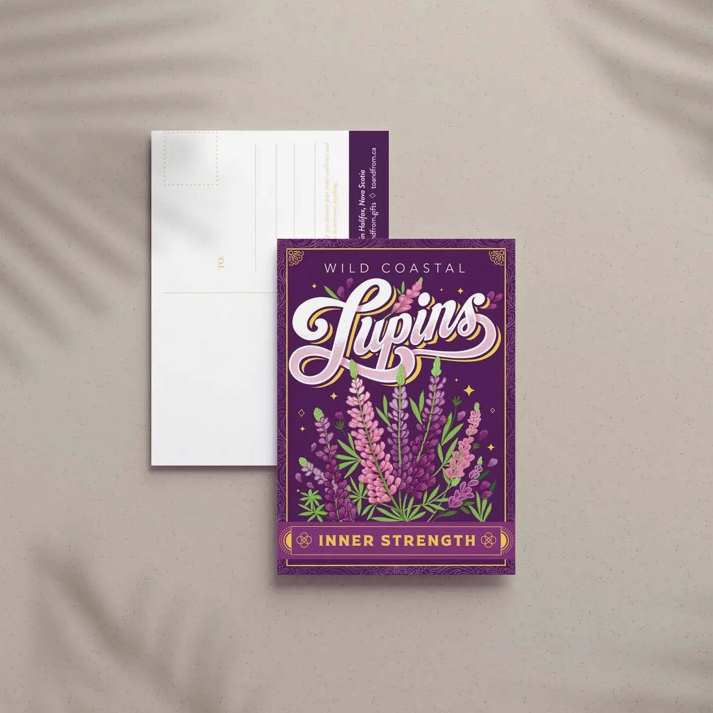 Lupins Postcard