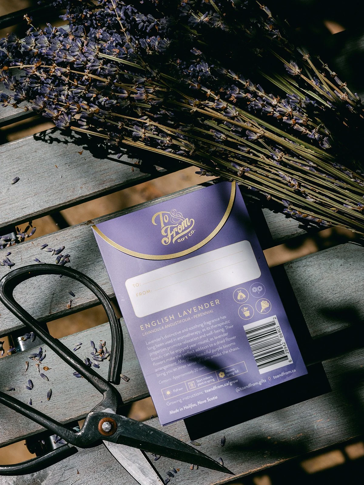 Lavender_To&FrontSeedCo-3.jpg