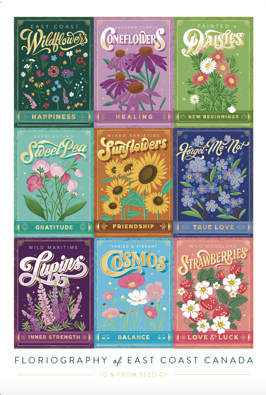 12x18-Seed-Packet-Grid-3.png