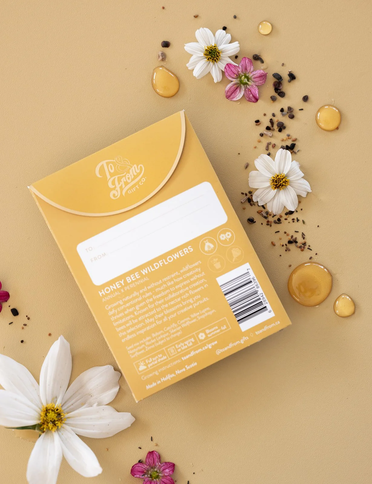 HoneyBee_Wildflowers_To&FrontSeedCo-5.jpg