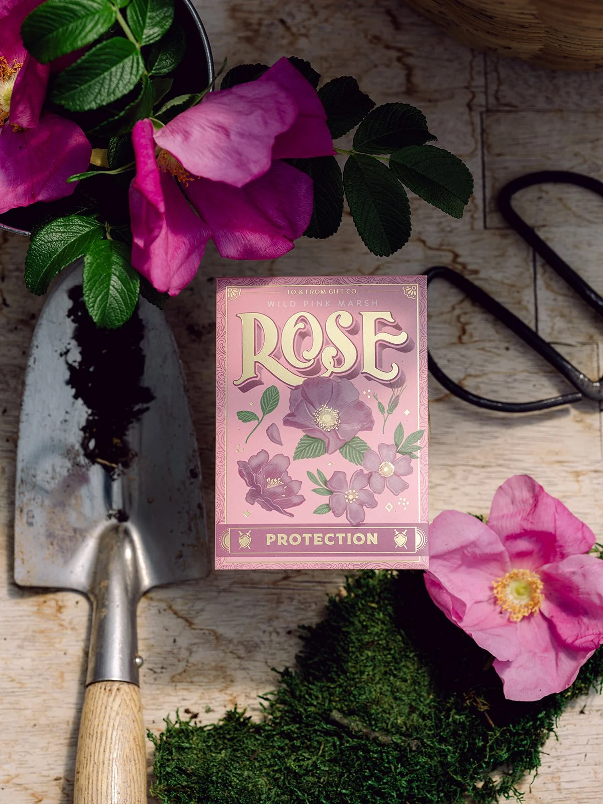 Wild Rose-1.jpg