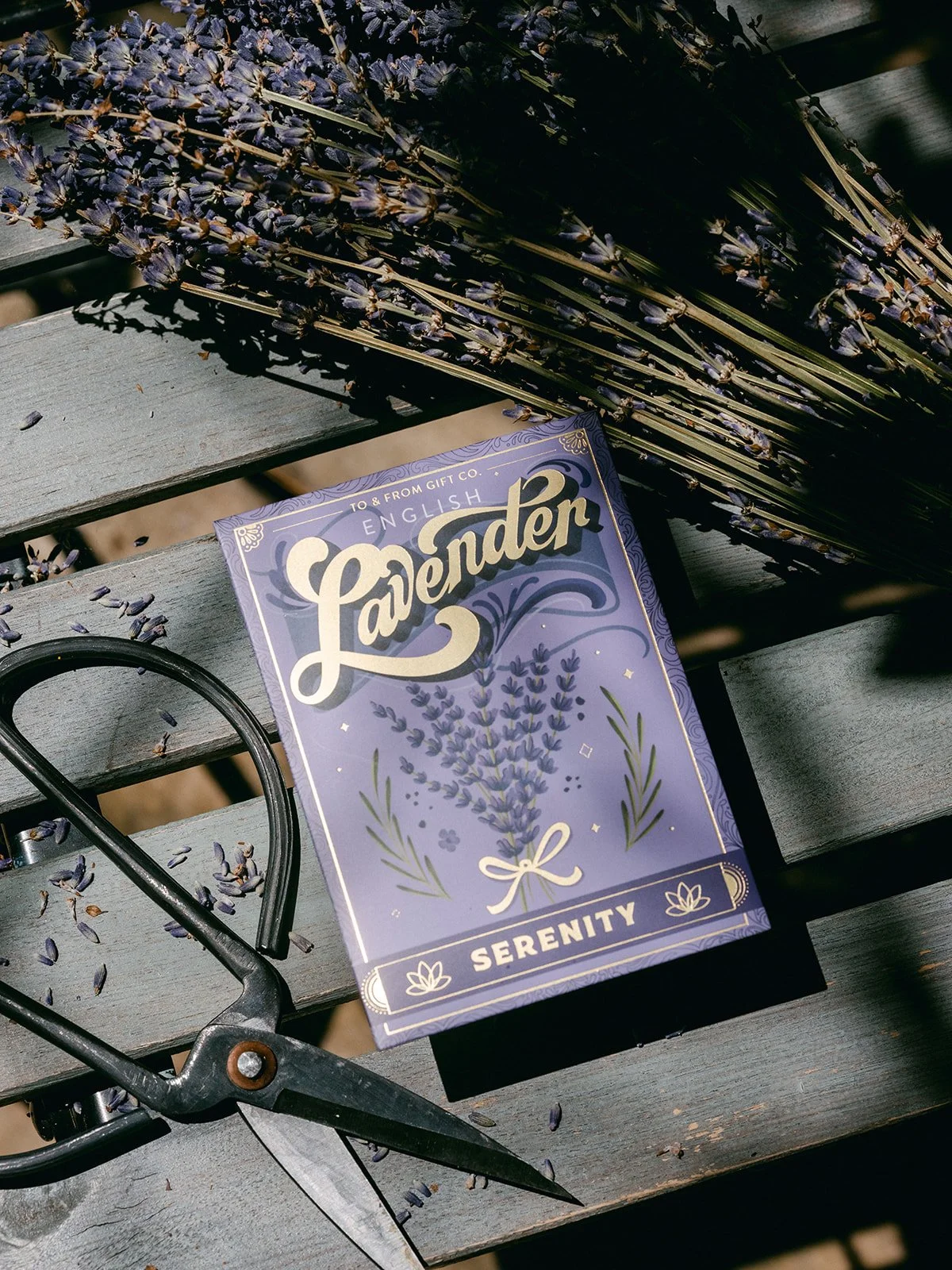 Lavender_To&FrontSeedCo.jpg