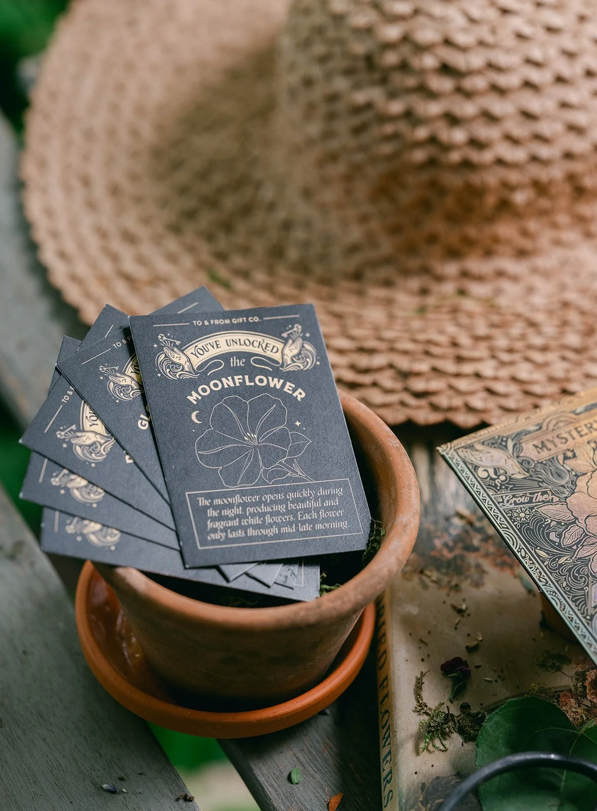 Mystery_To&FrontSeedCo-7.jpg