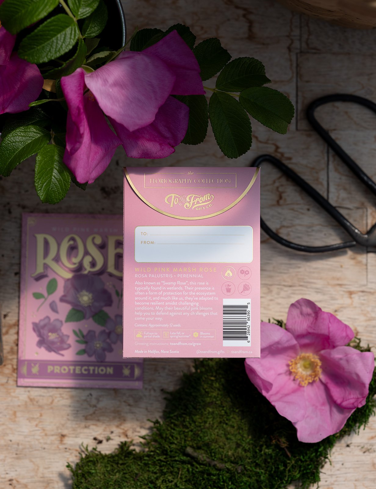 Wild Rose-2.jpg
