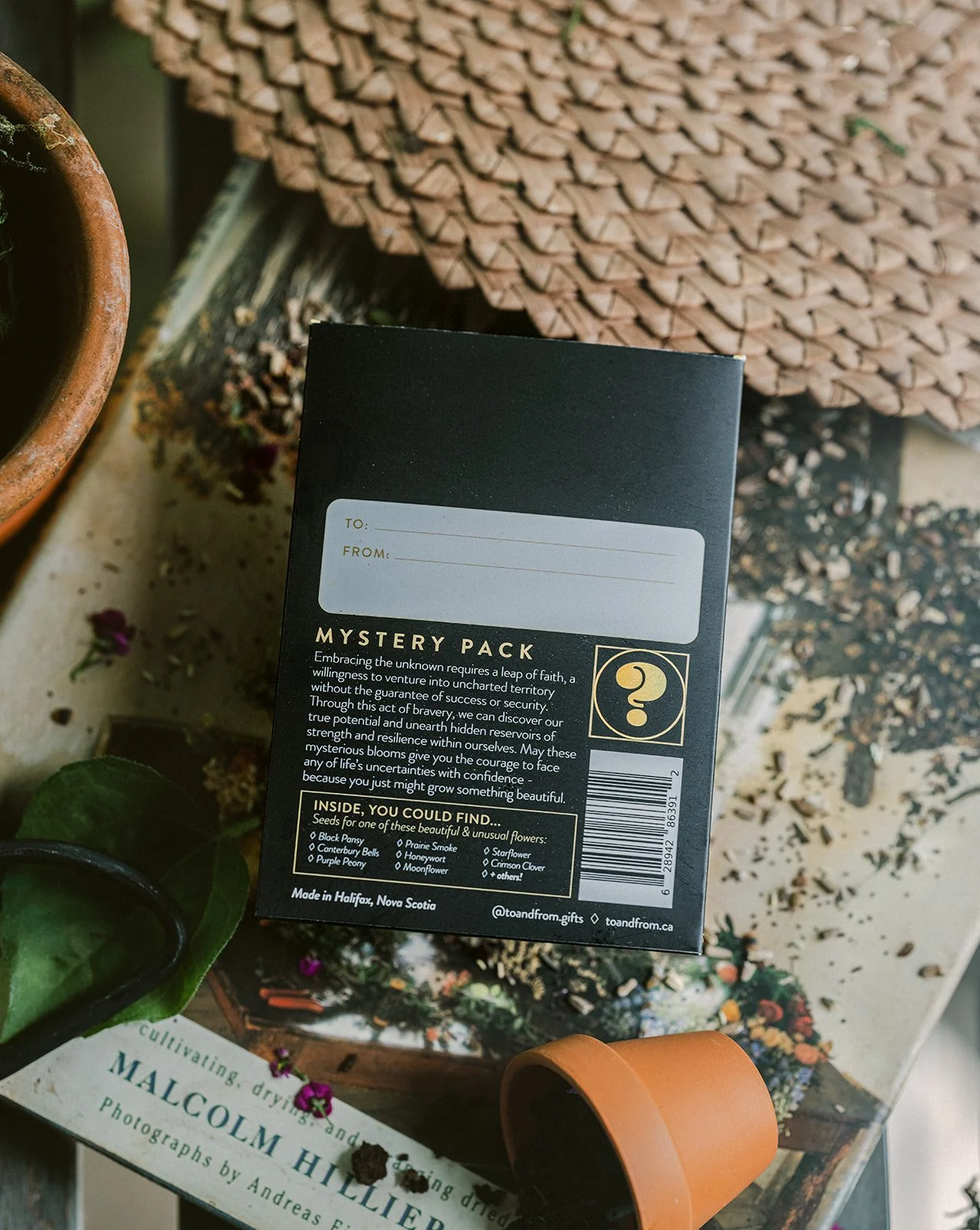 Mystery_To&FrontSeedCo-5.jpg