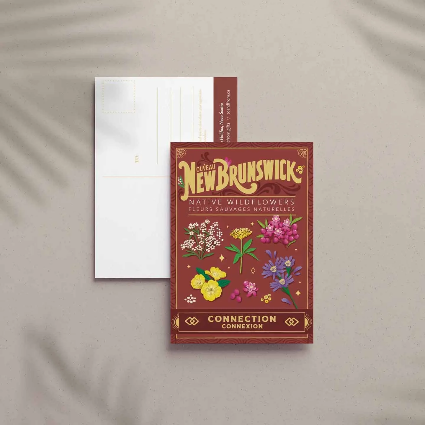 New Brunswick Native Wildflowers Postcard