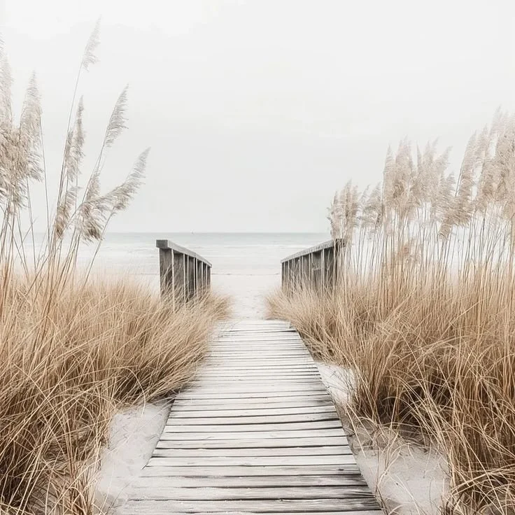 Wooden pathway leading to a beach, framed by tall sandy grass on both sides, with the ocean in the background under a cloudy sky.