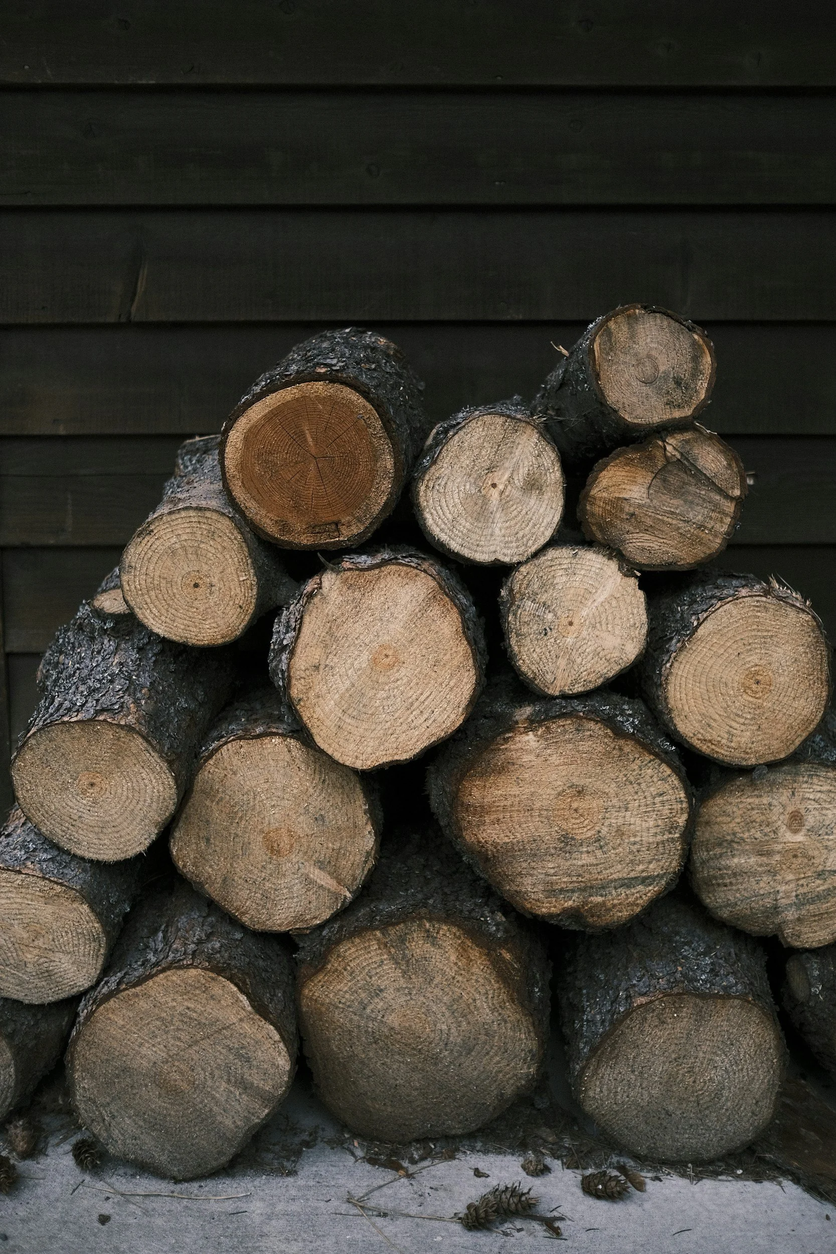 Stacked firewood logs against a dark wooden wall.