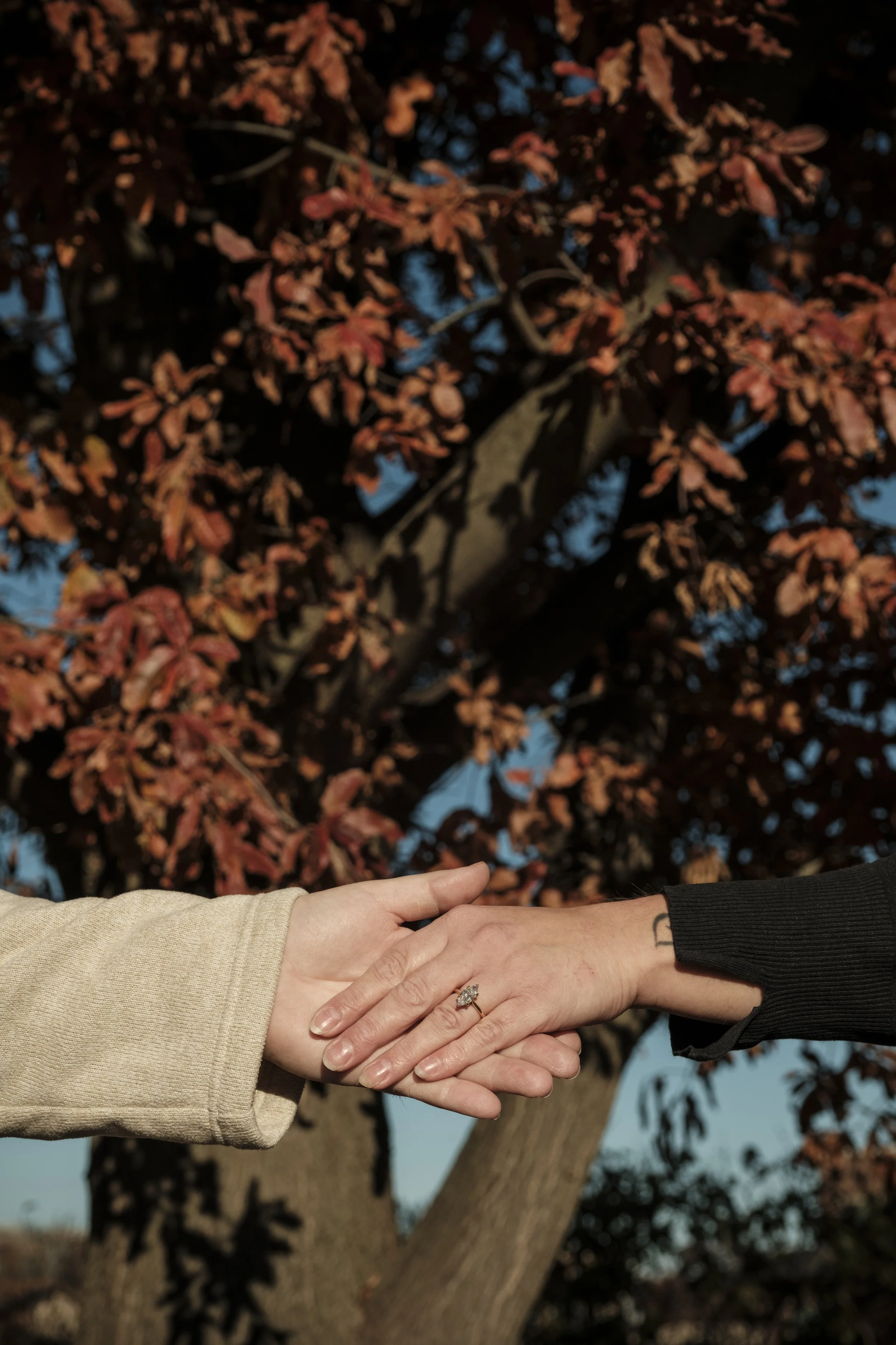 Natalie & Daniel Engagement-Sneak Peek-1309.jpg