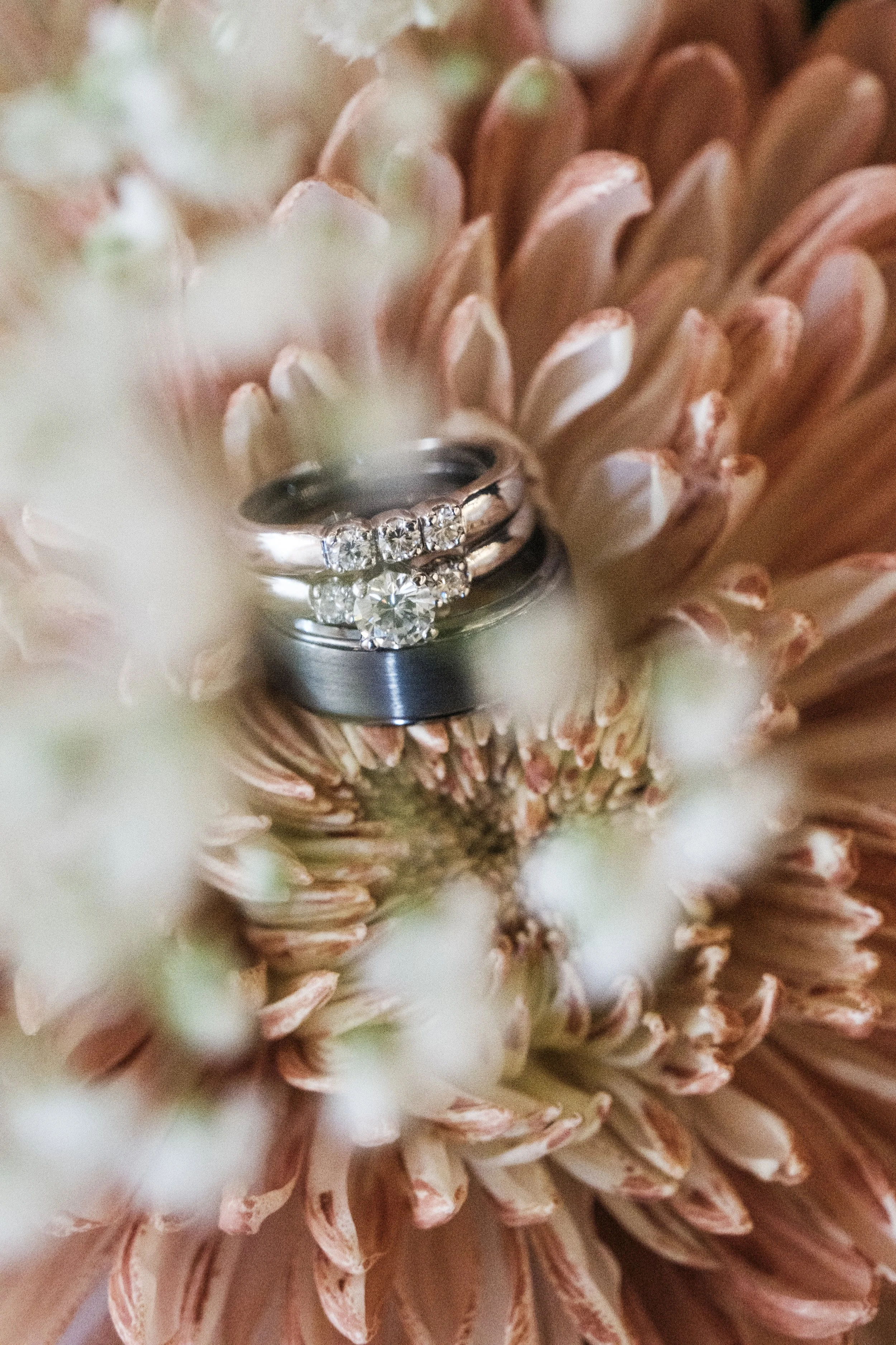 LPS-Shelby & Evan Wedding-0450.jpg