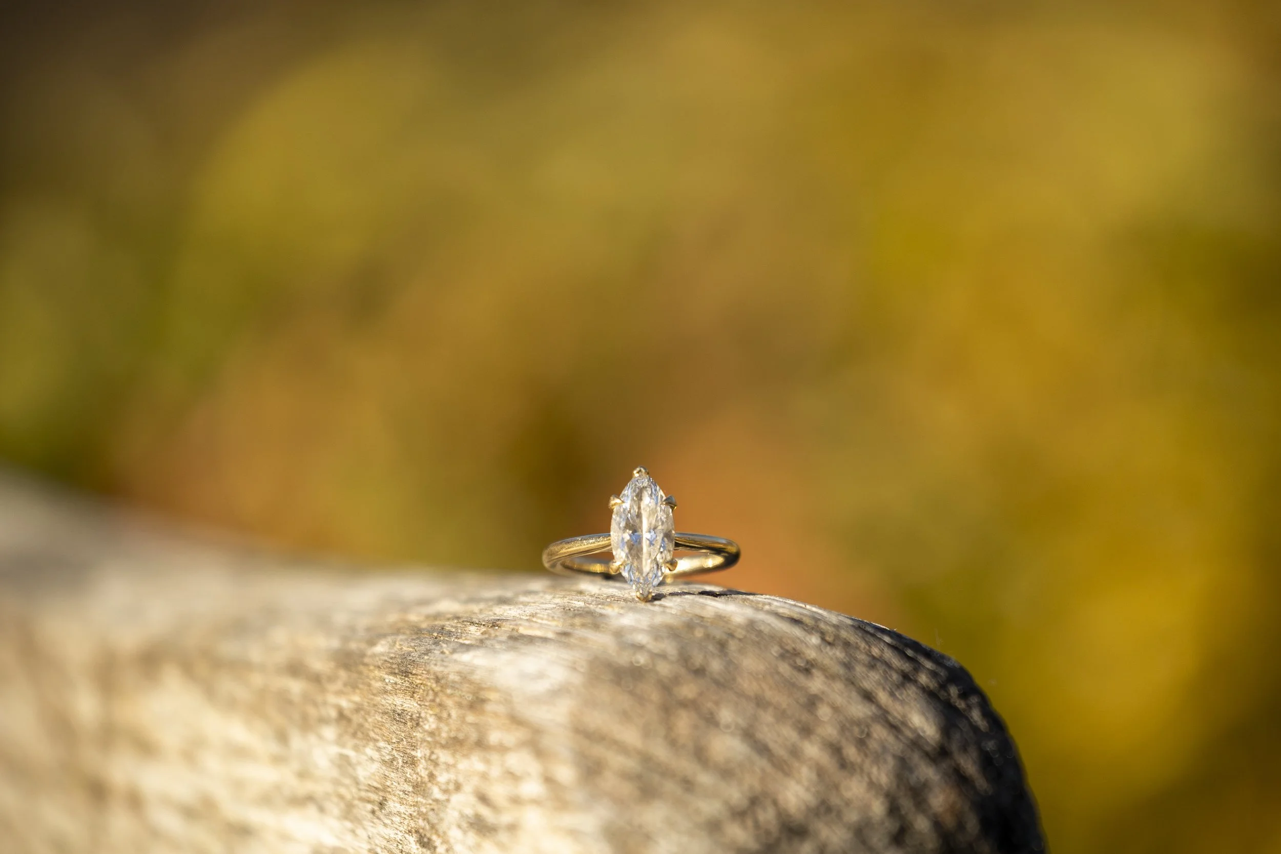 Natalie & Daniel Engagement-Sneak Peek-6683.jpg