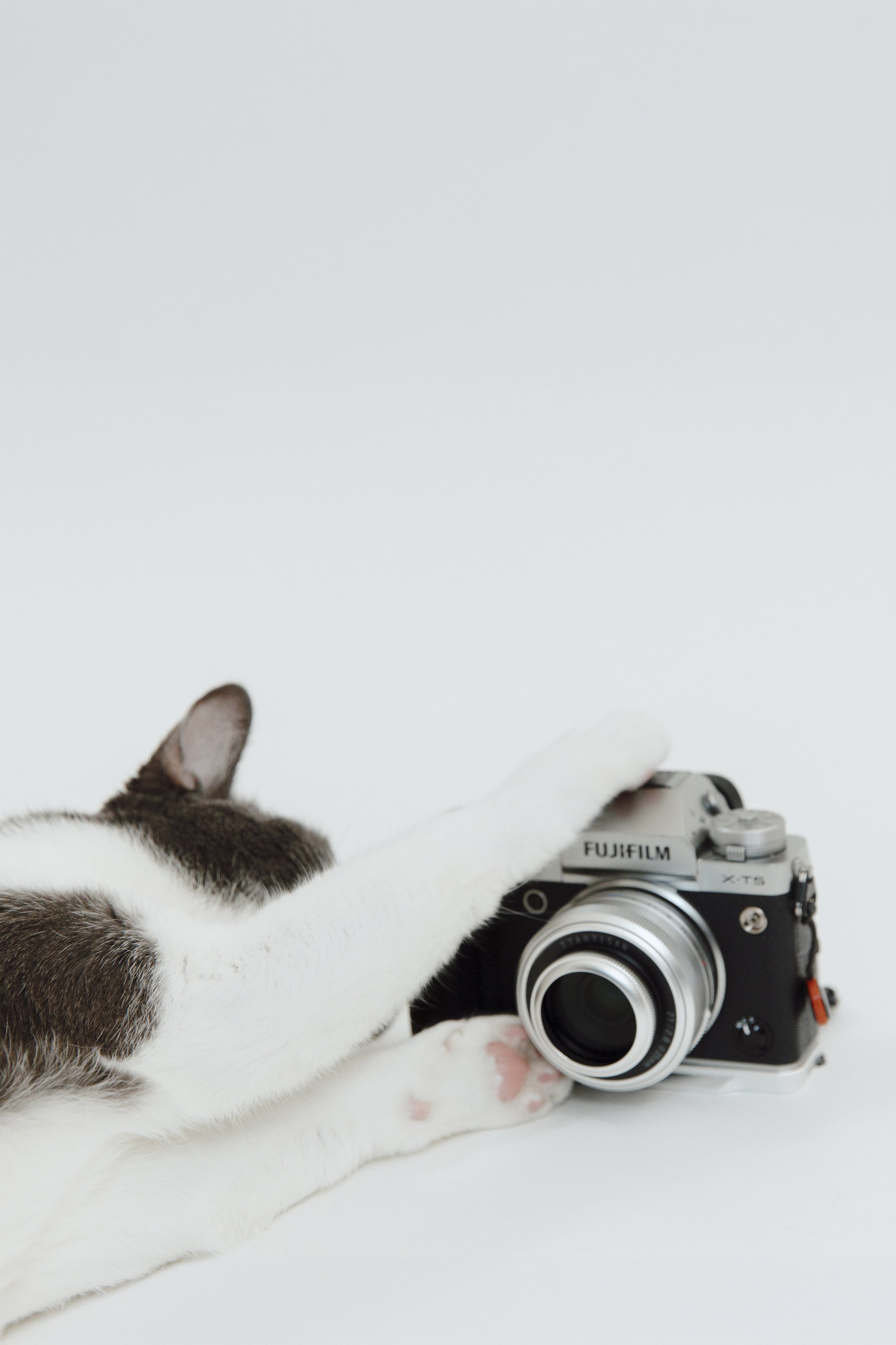 A cat lying on its side reaching for a vintage Fujifilm camera with a white background.