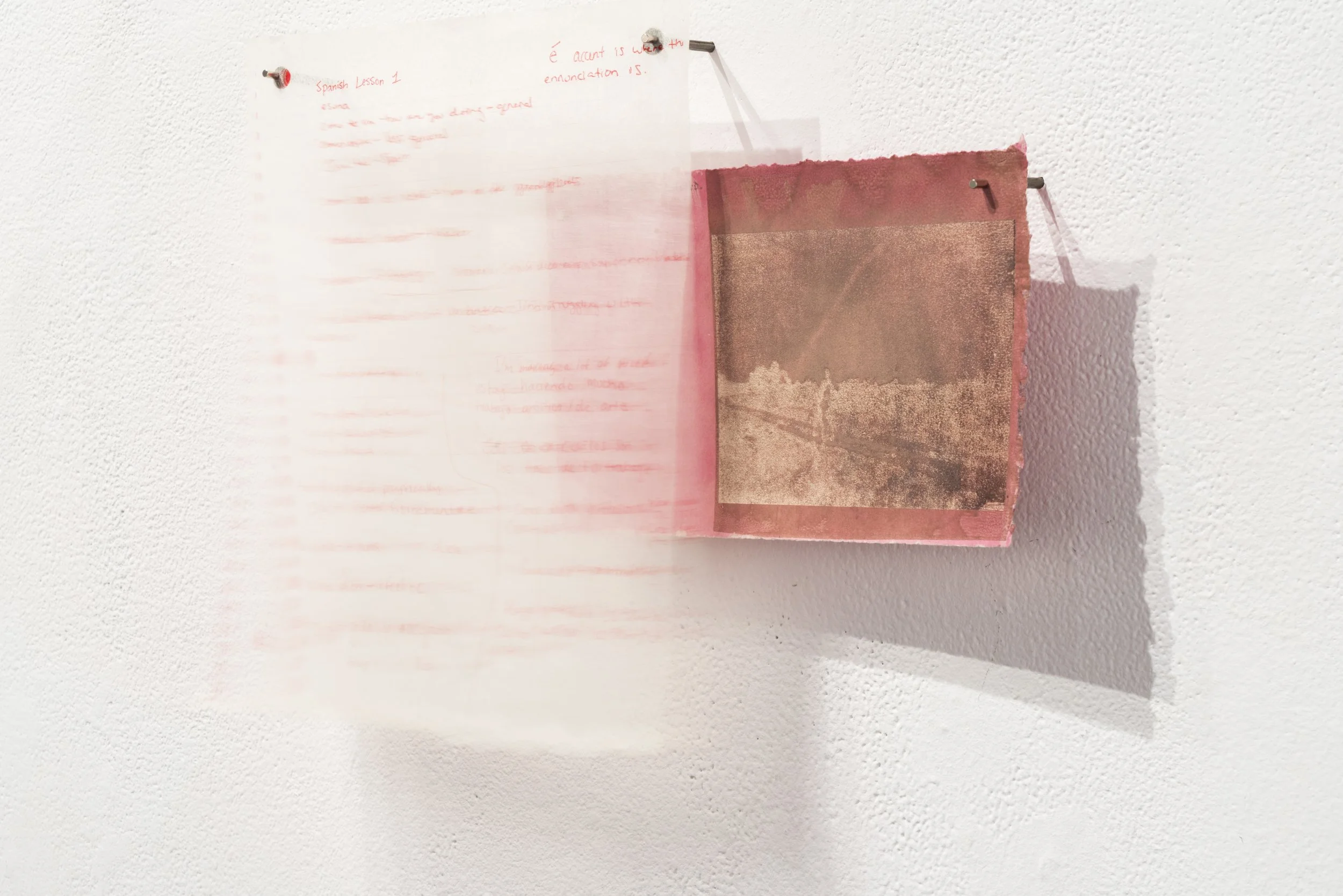 DMD-Elyse-MFA-Documentation-59.jpg