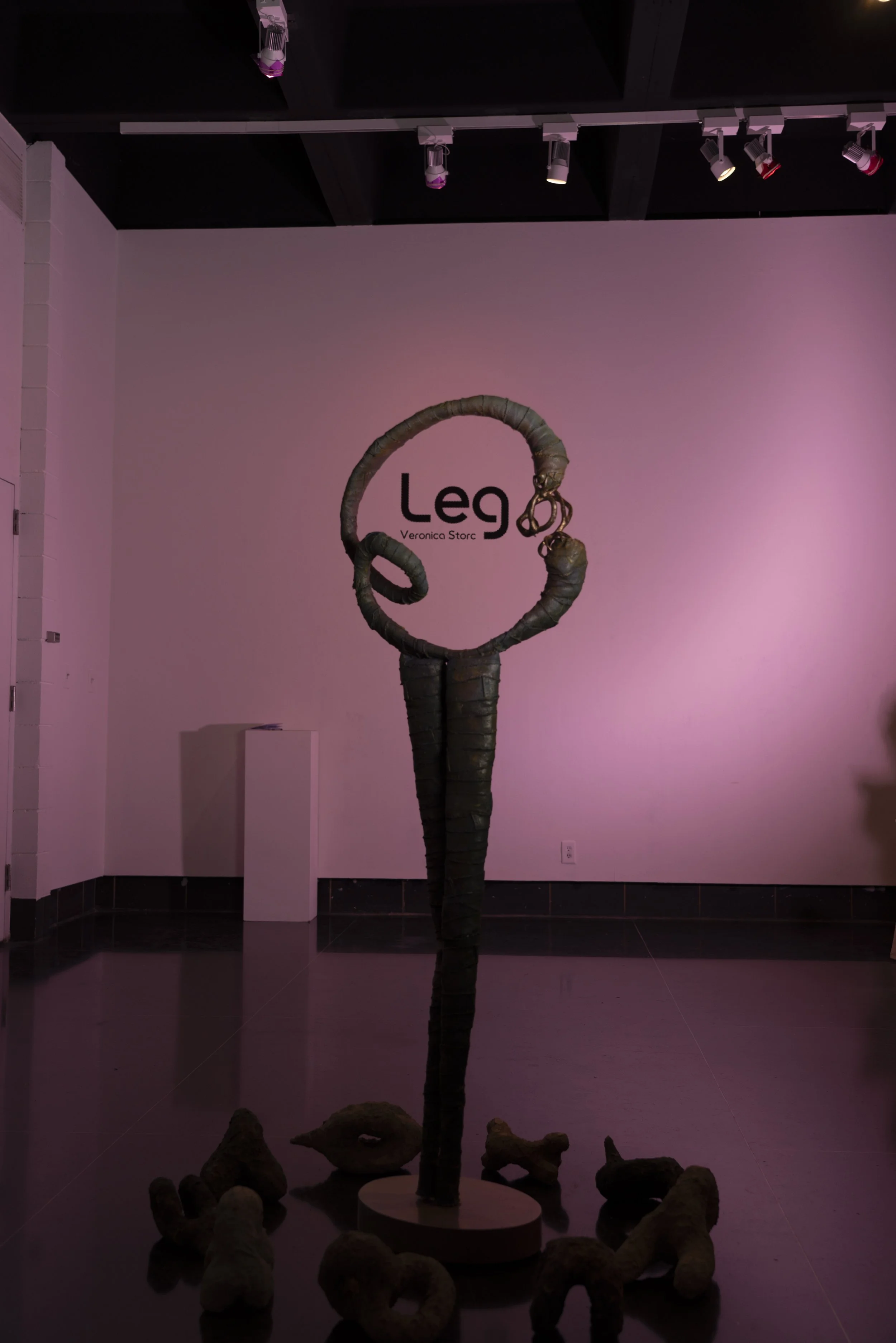 DMD-Veronica-Leg-Documentation-6.jpg