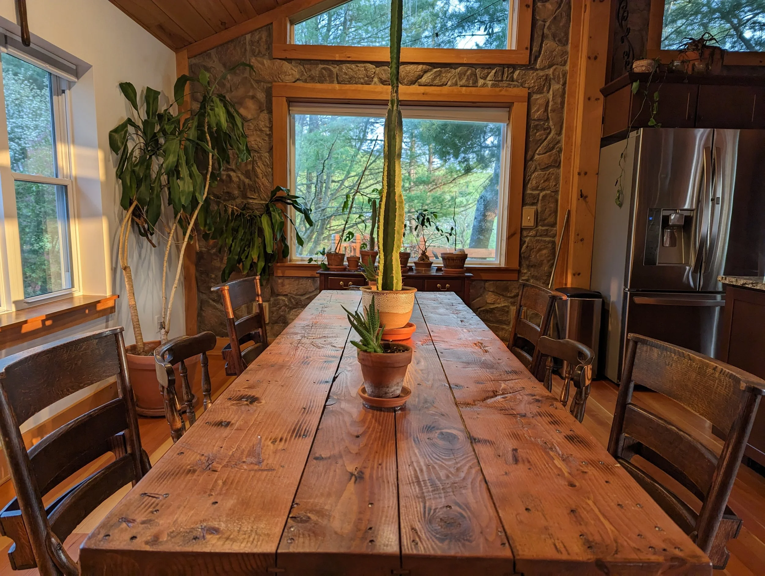 A rustic dining room with a long wooden table decorated with potted succulents, surrounded by chairs, and large windows showing outdoor greenery, with stone walls and wooden ceiling.