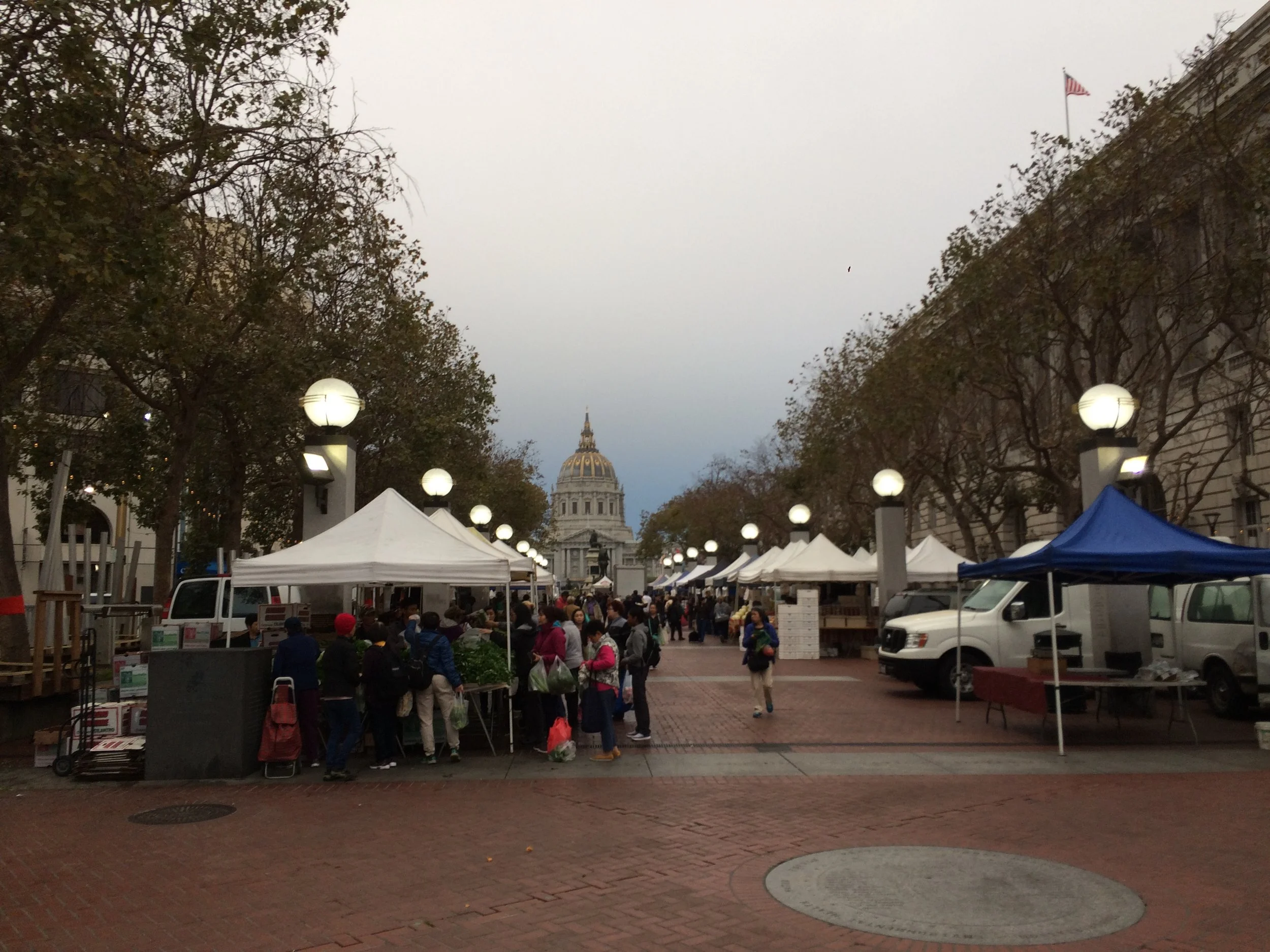 IMG_2851.jpeg