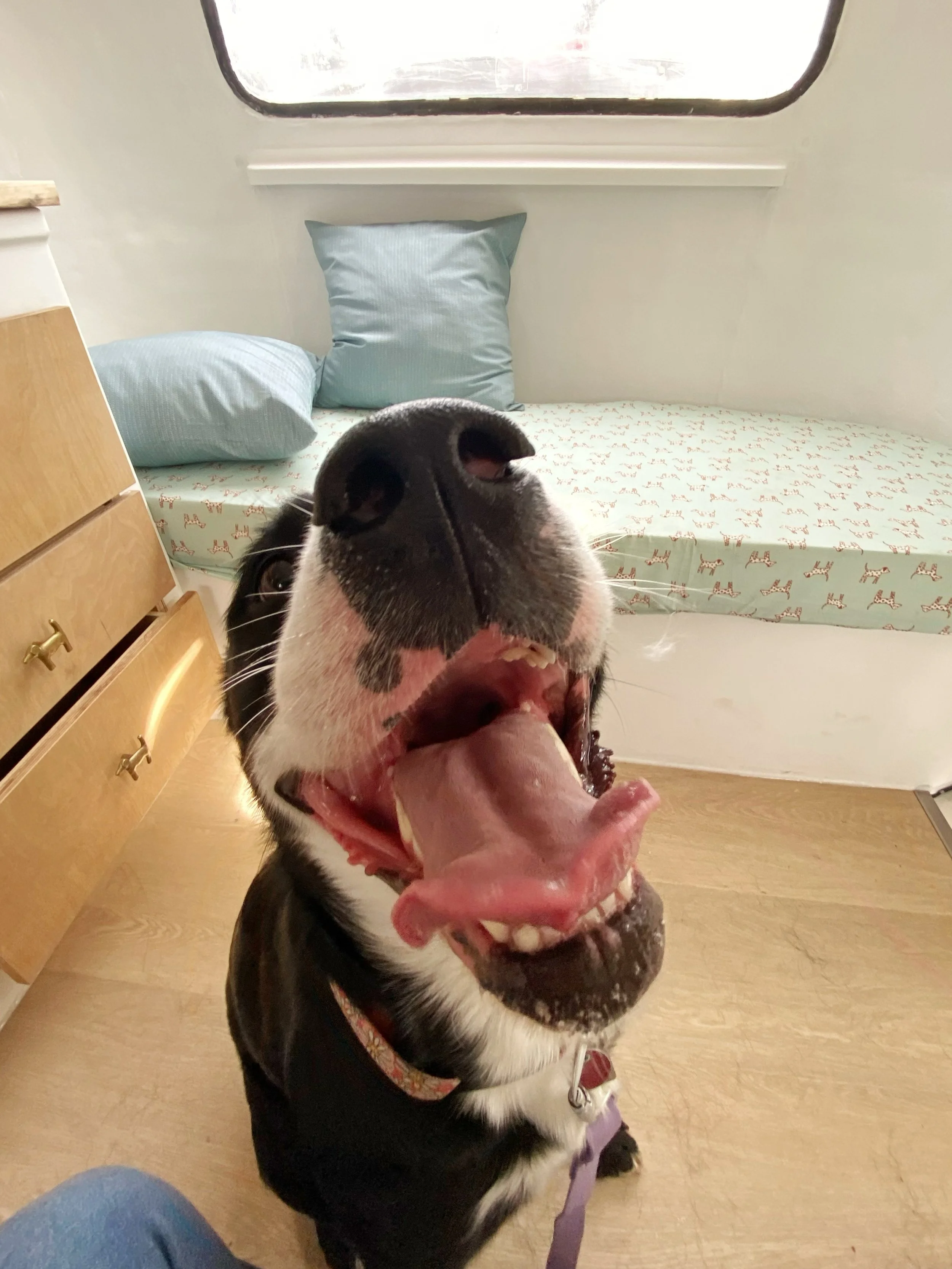 Friday long weekend feels 😛🤪😆