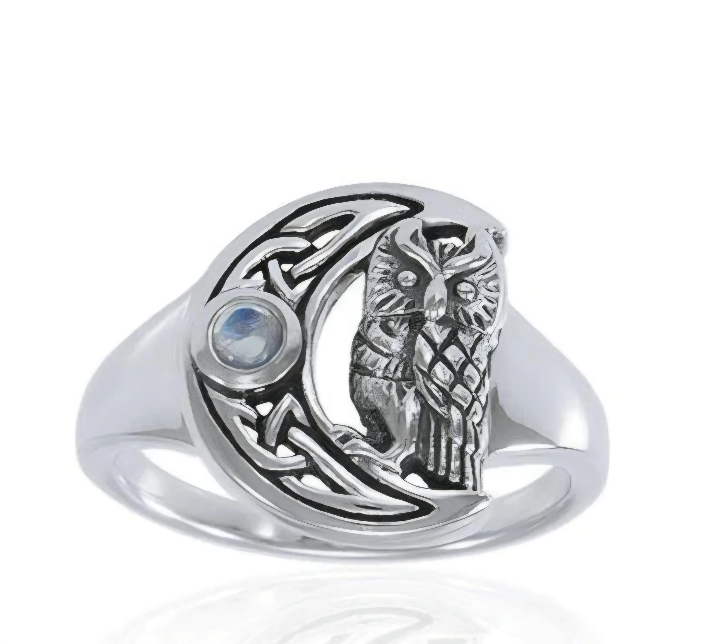owl on celtic moon solo.jpg