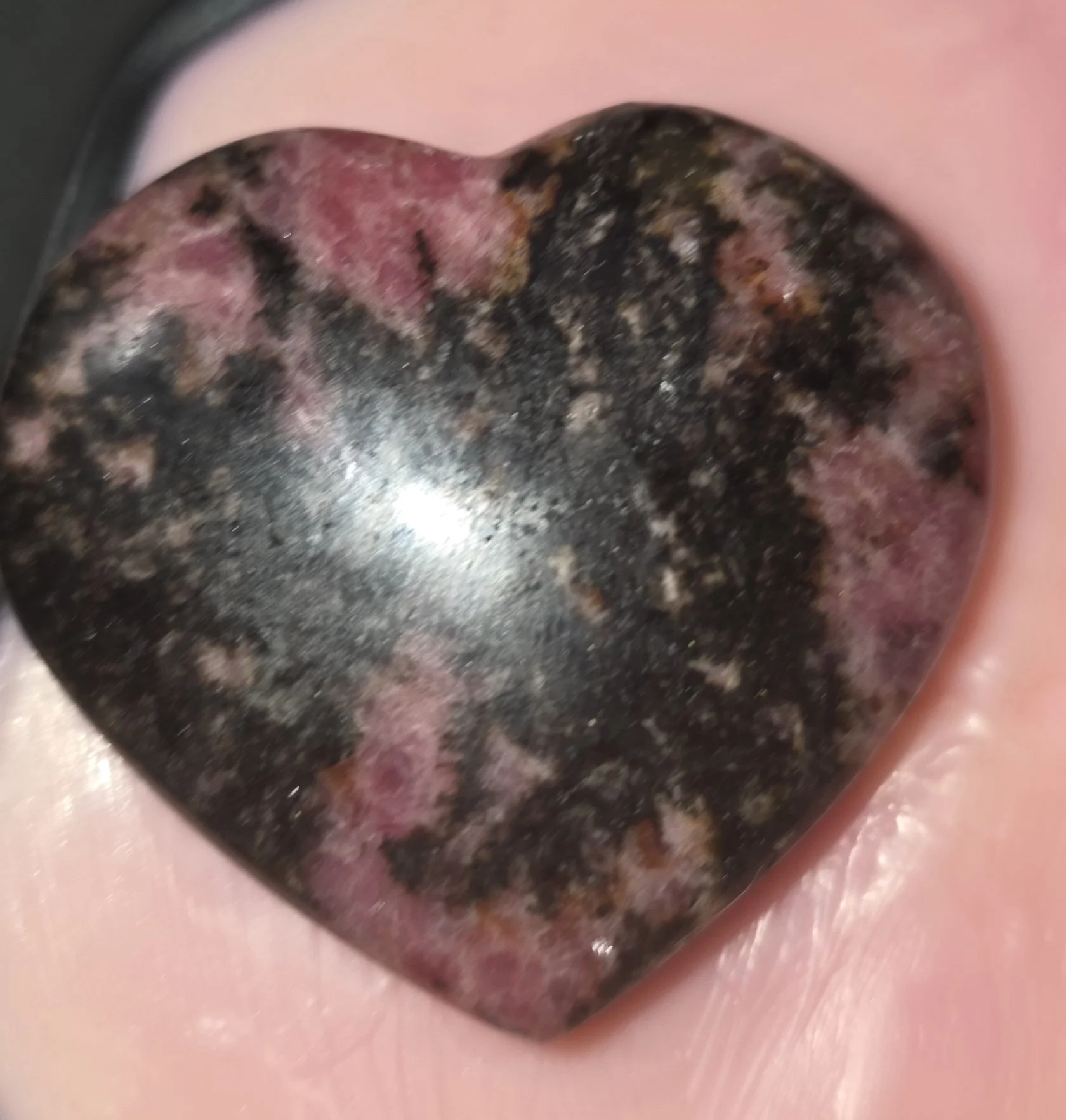 heart.jpg