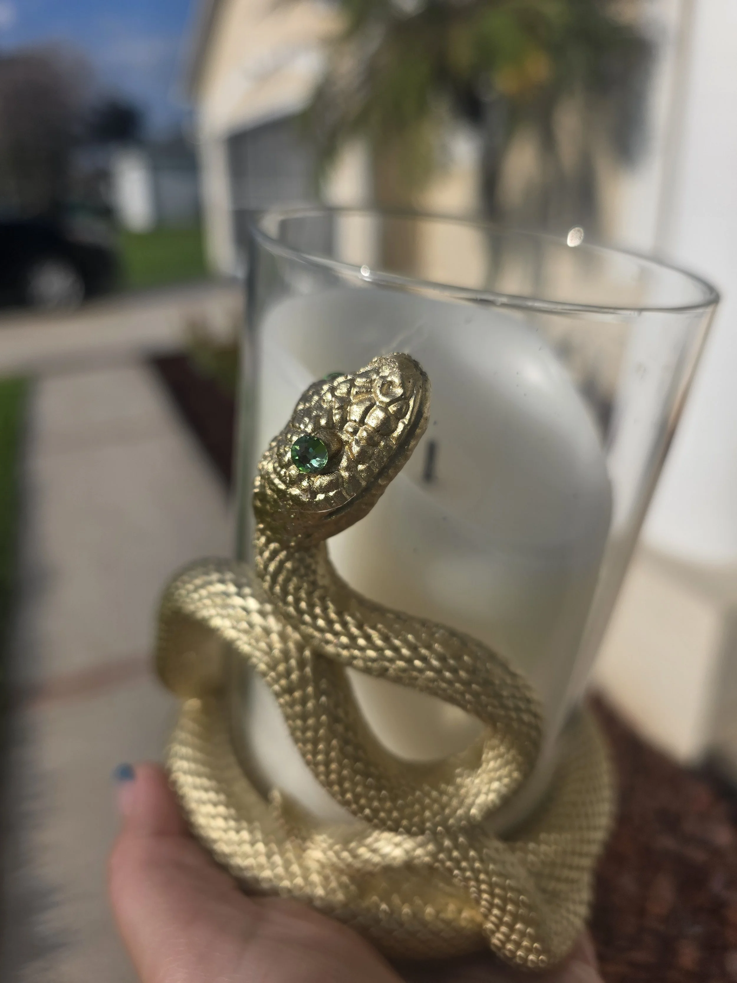 holding snake candle outside.jpg