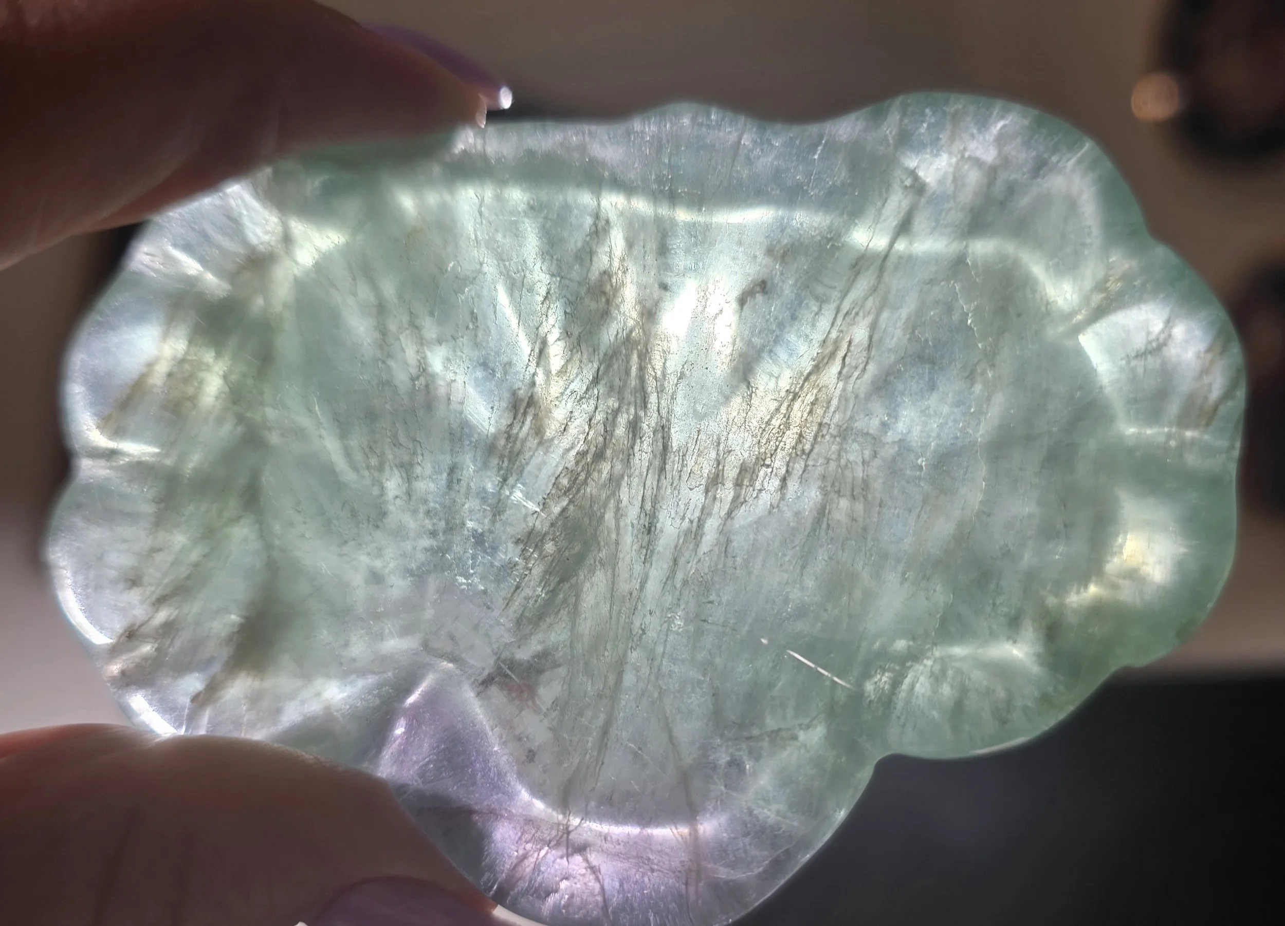 scallop rainbow flourite light.jpg