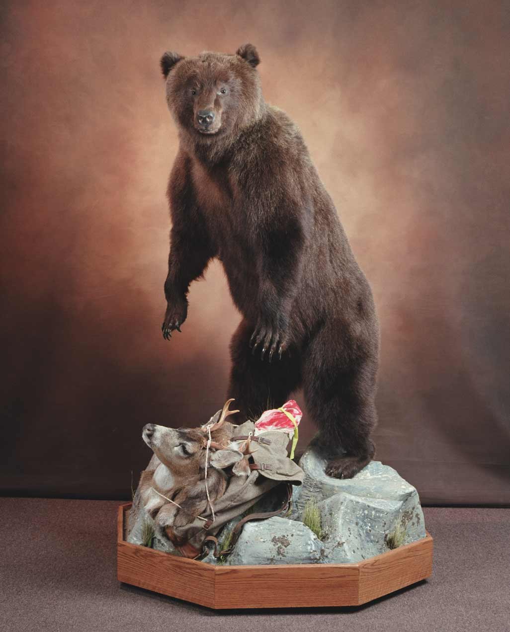 Taxidermy display of a brown bear standing on a rock with a dead deer in the foreground.
